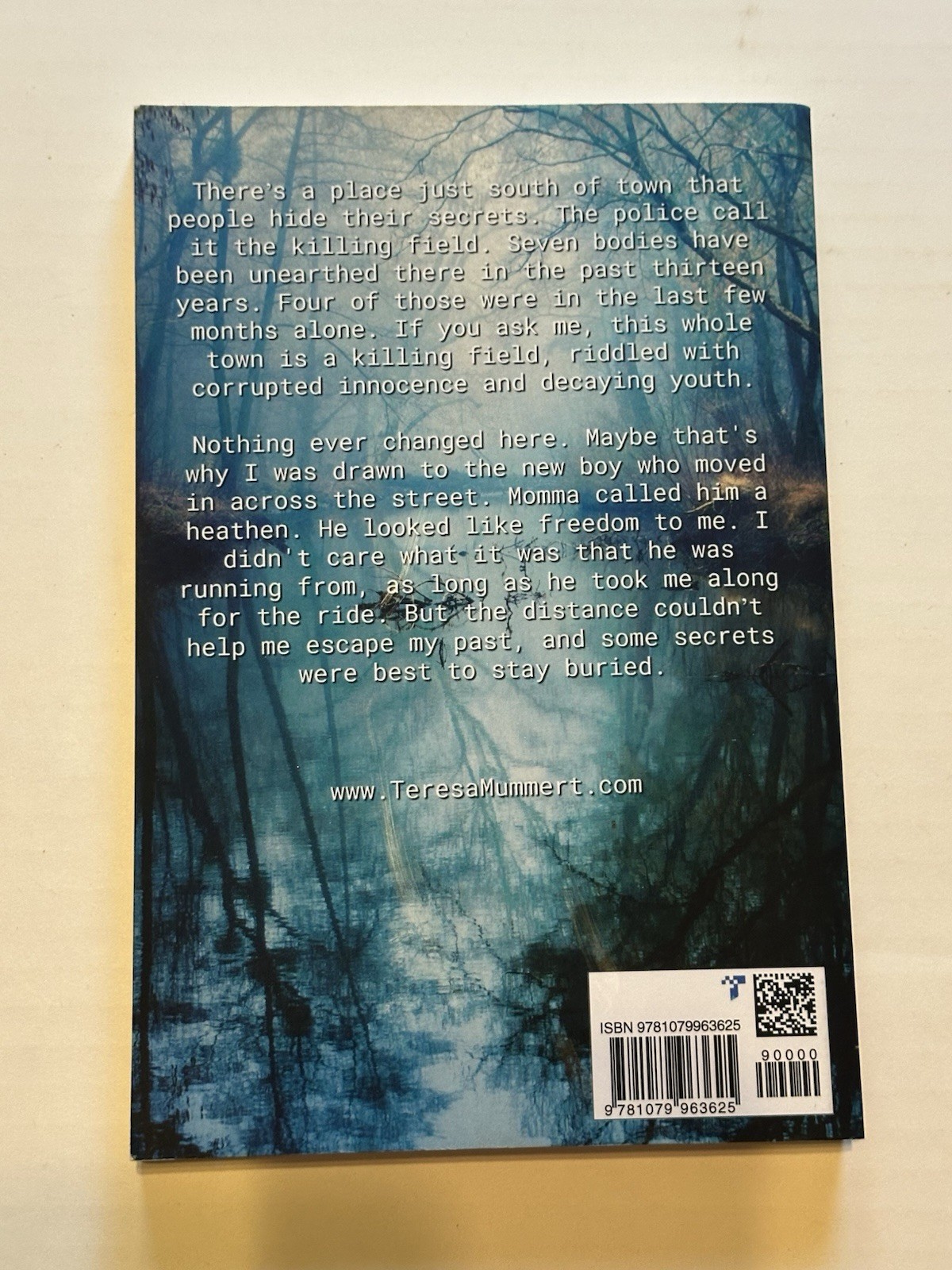 Something in the Water by Teresa Mummert (2019, Trade Paperback)