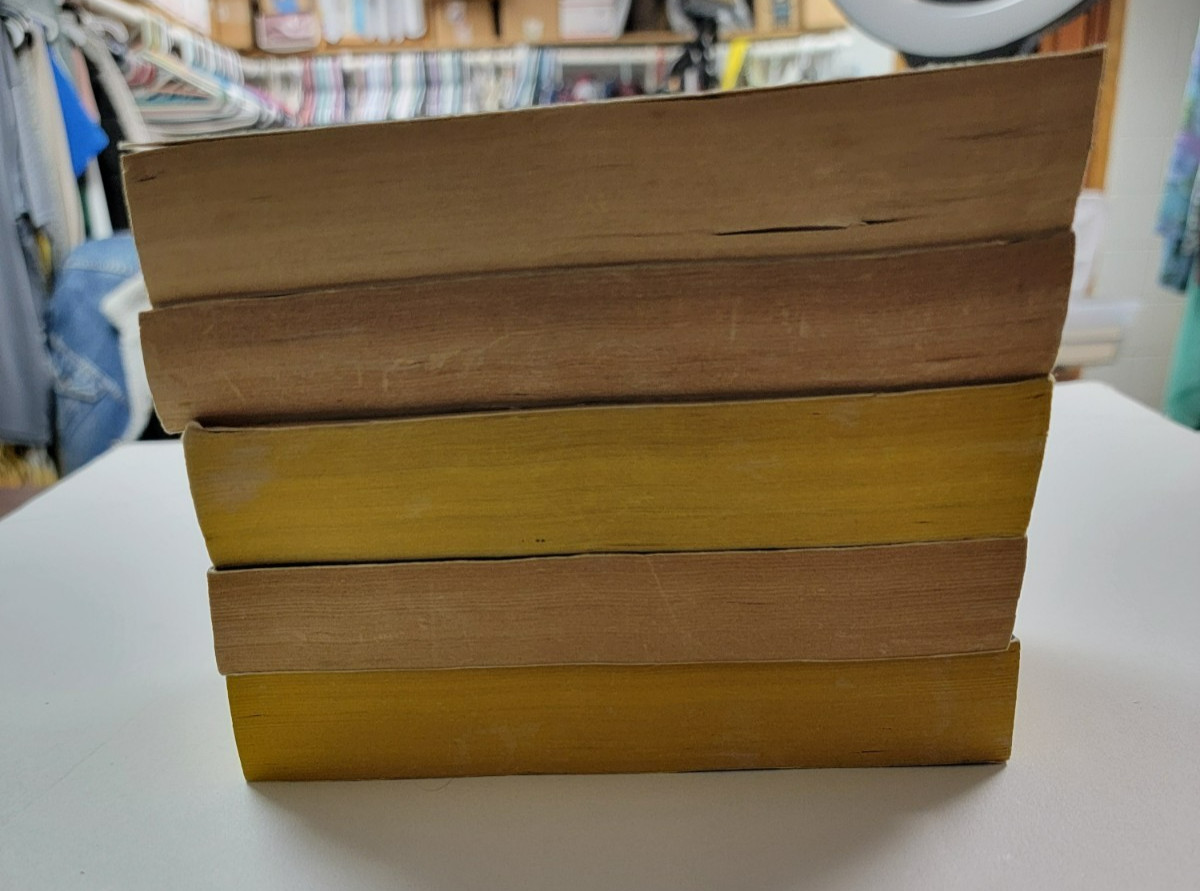 ROBERT LUDLUM~ Book Lot of 5 Paperbacks VINTAGE See Description For Titles