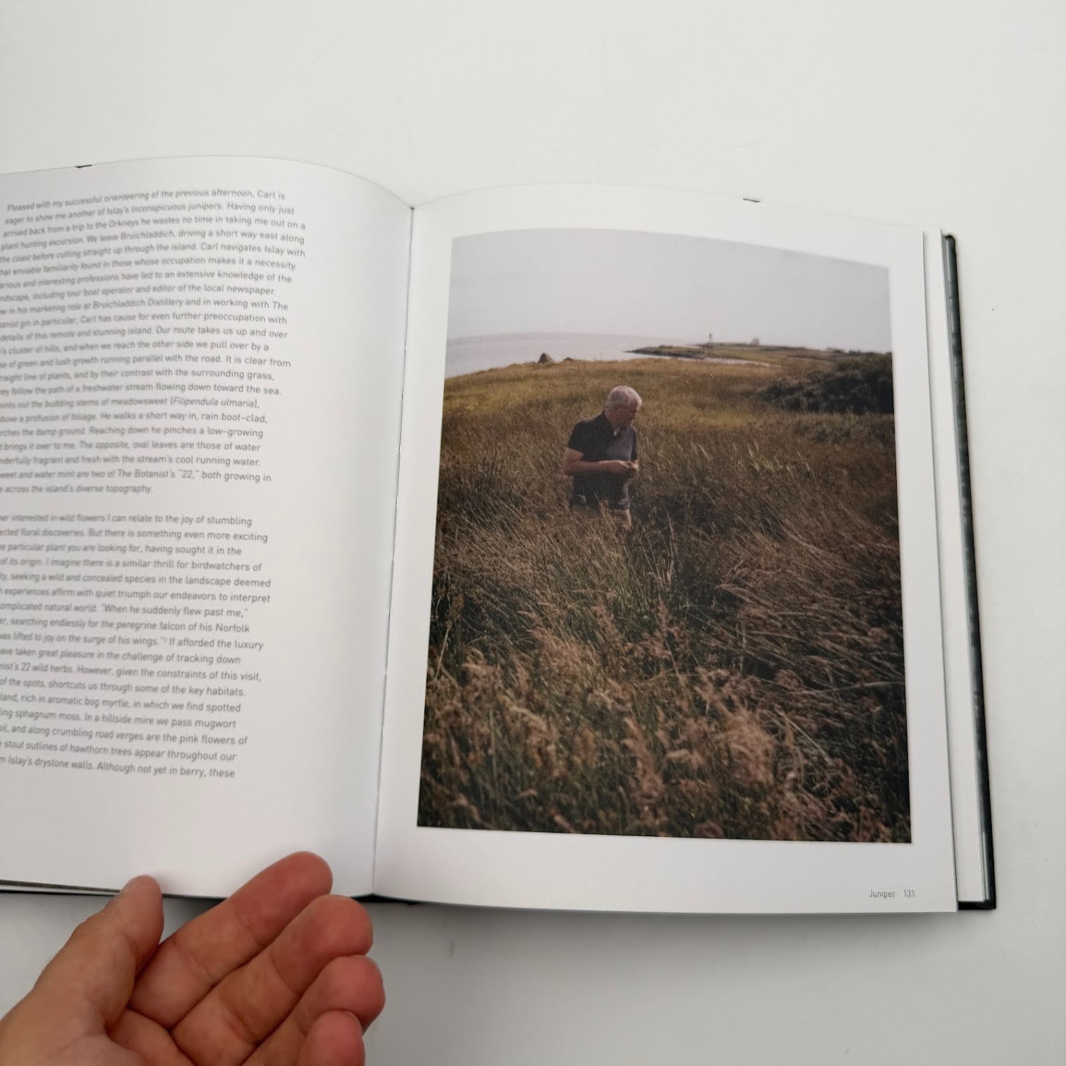 Forest by Matt Collins (2020, Hardcover) Tree Photography Book, Nature and World