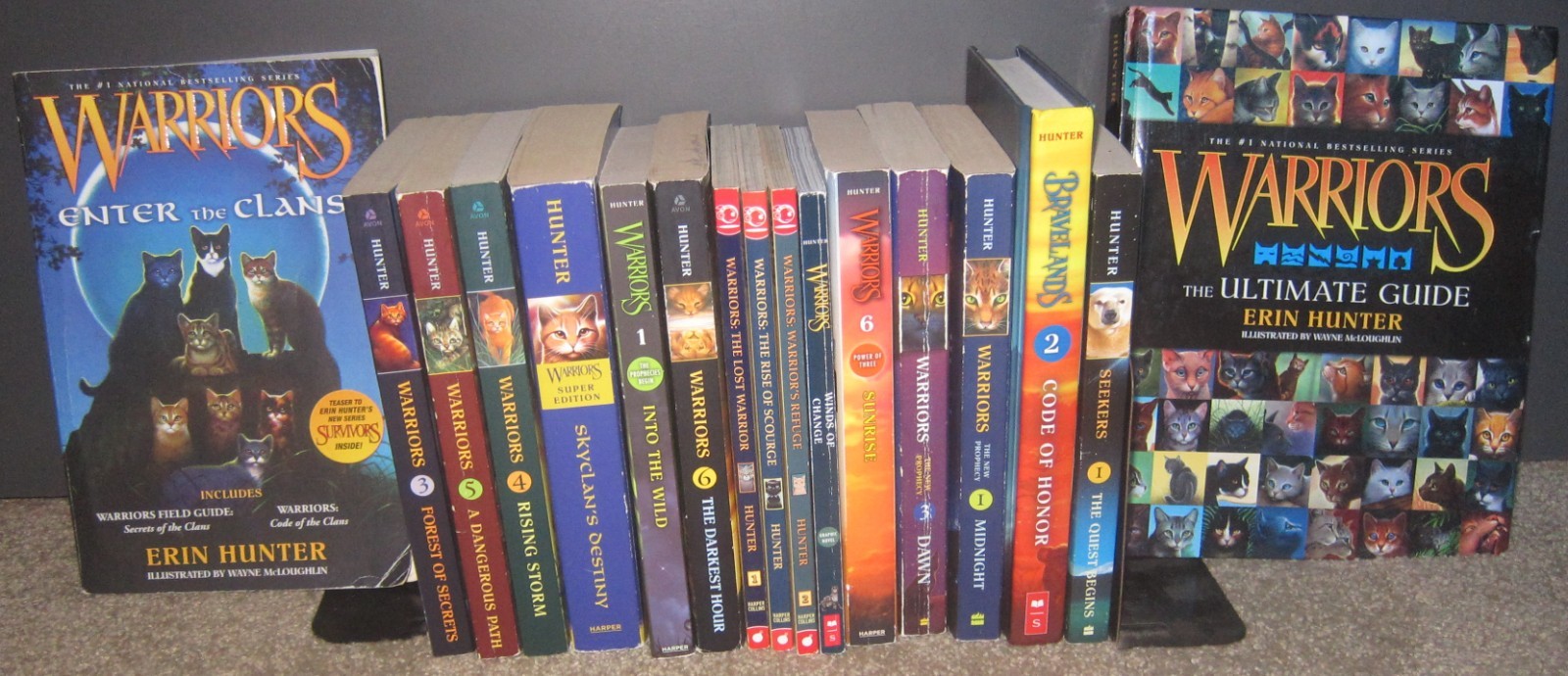 Lot of 17 Books by Erin Hunter PB/HC – Warriors, etc