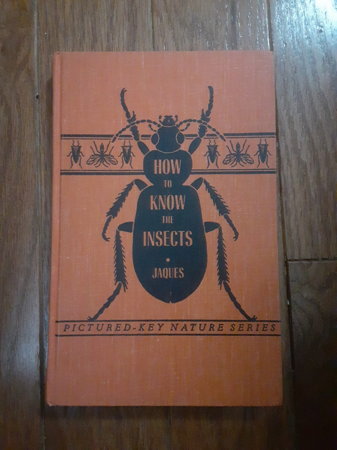 How To Know The Insects, By H.E. Jaques, Hardcover, Pictured Key Nature Series