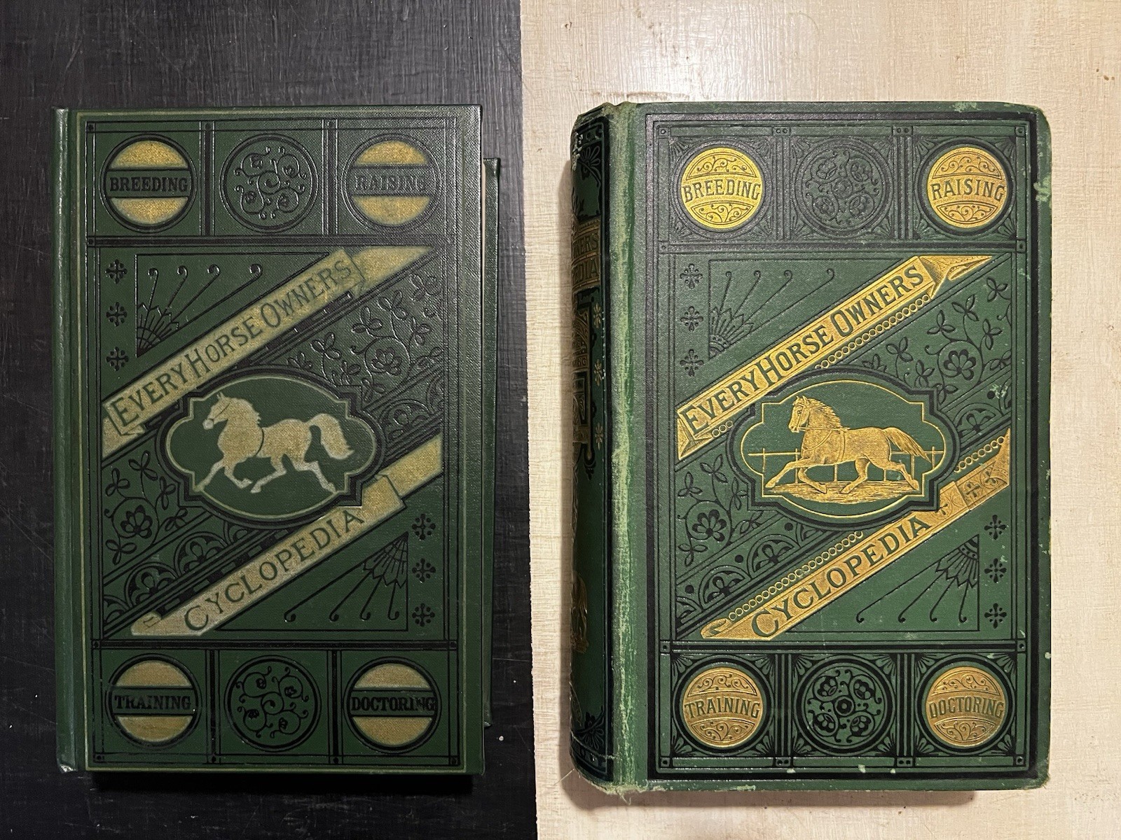 Every Horse Owners‘ Cyclopedia – Diseases, And How To Cure Them 1875 & 1971