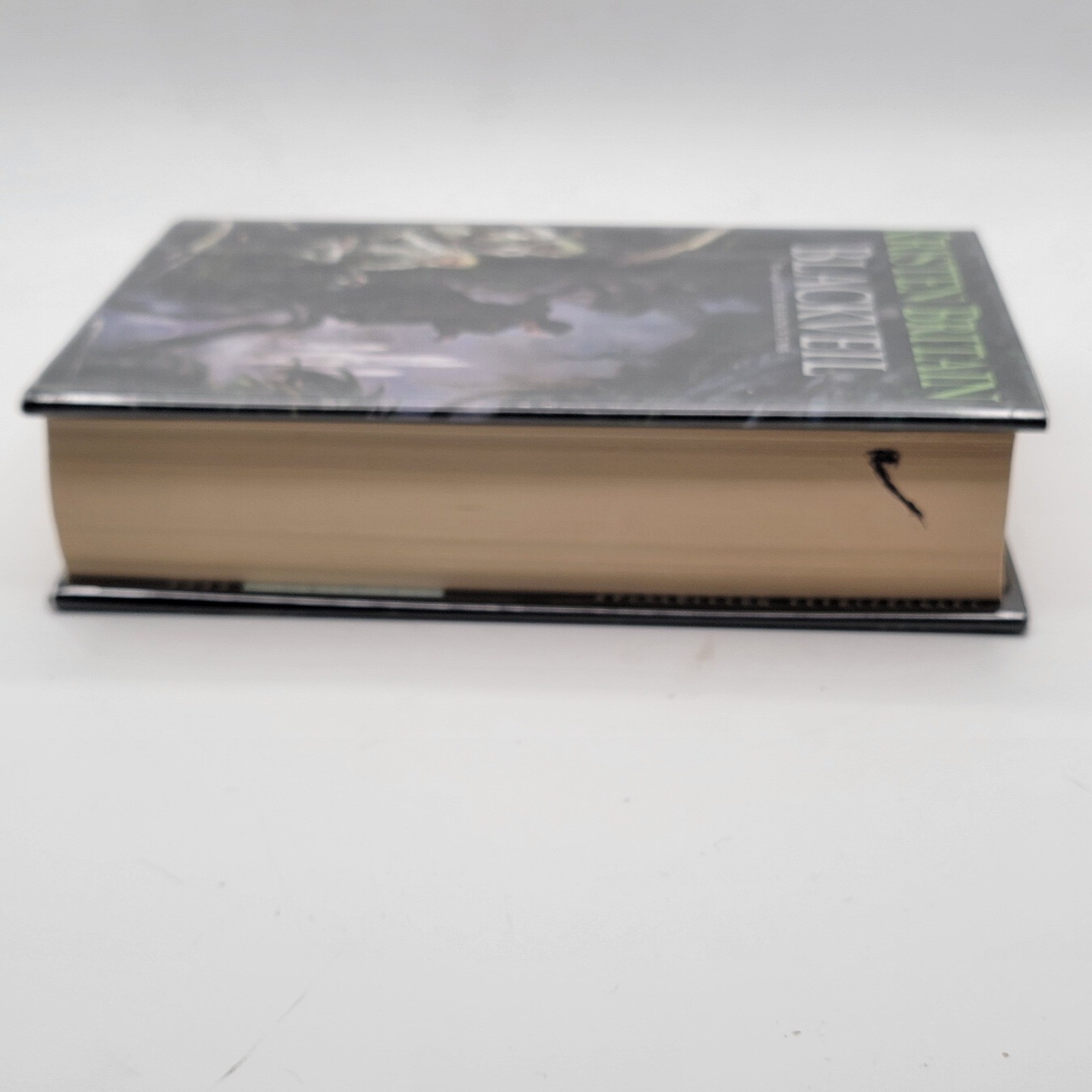 Kristen Britain Blackveil Hardcover Ex-Library Green Rider Book 4 Fair