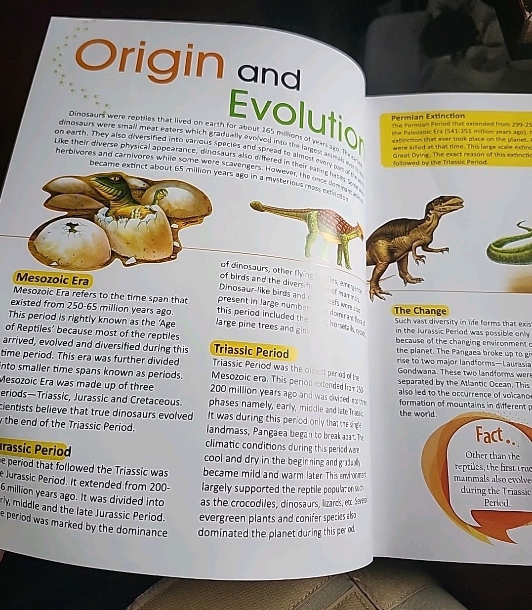 Childrens Encyclopedia of Dinosaurs Hard Cover Vision St Publishing Educational