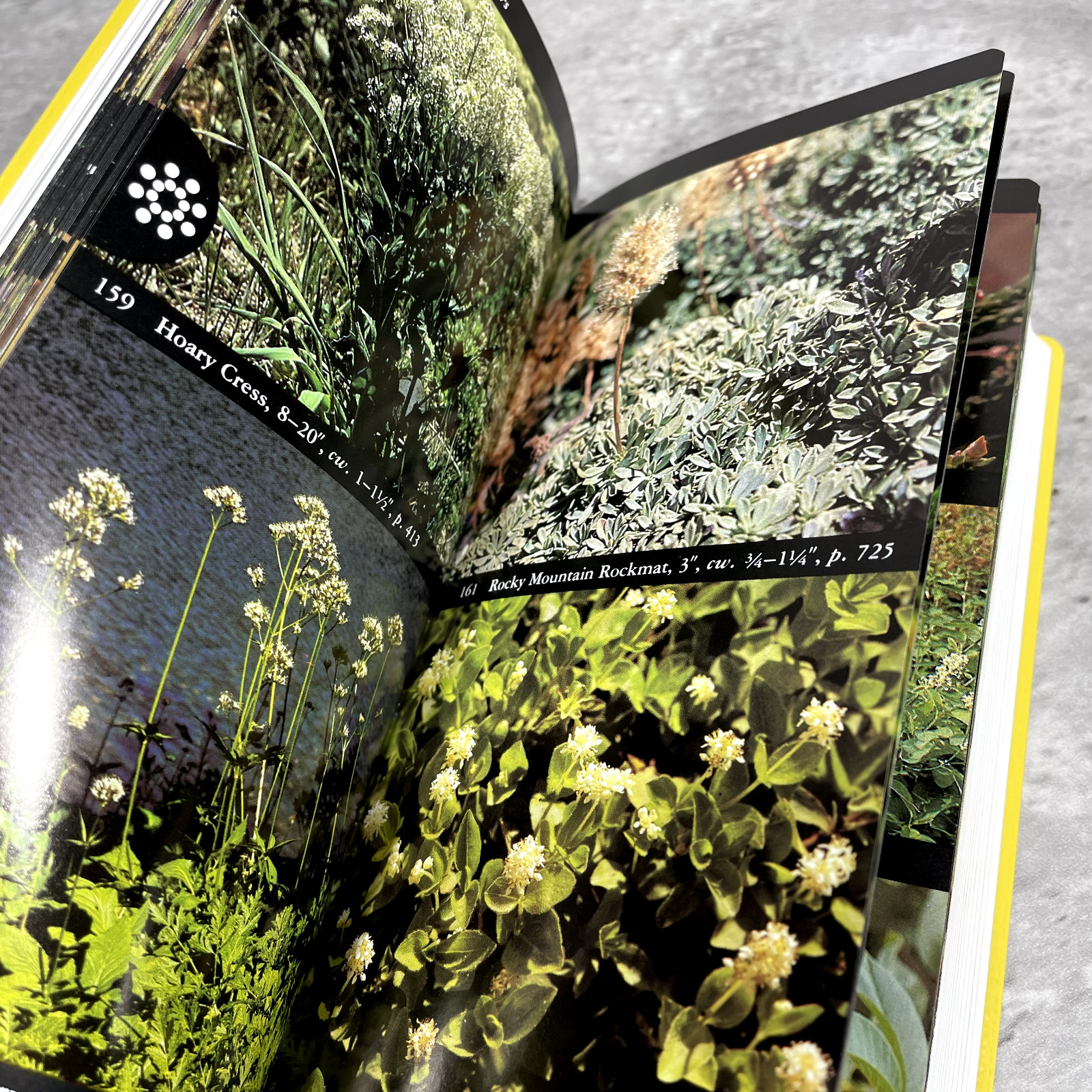 The Audubon Society Field Guide North American Wildflowers 1997 Alfred A. Knopf