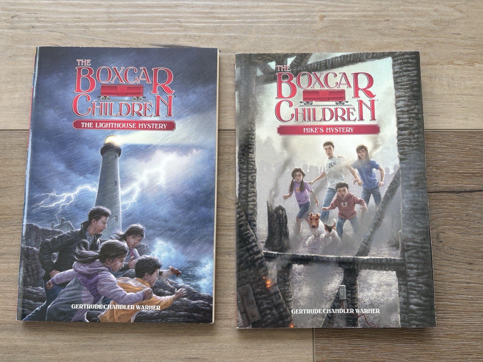 Gertrude Chandler Warner the Boxcar Children Set Of 9 Books And The Cookbook
