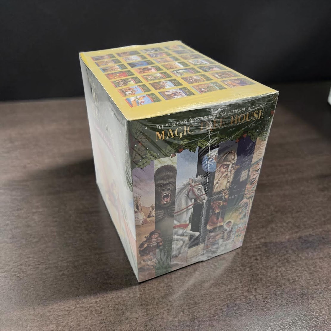 Set 3B: Magic Tree House A Library of Books 1-28 – Mary Pope Osborne Collection