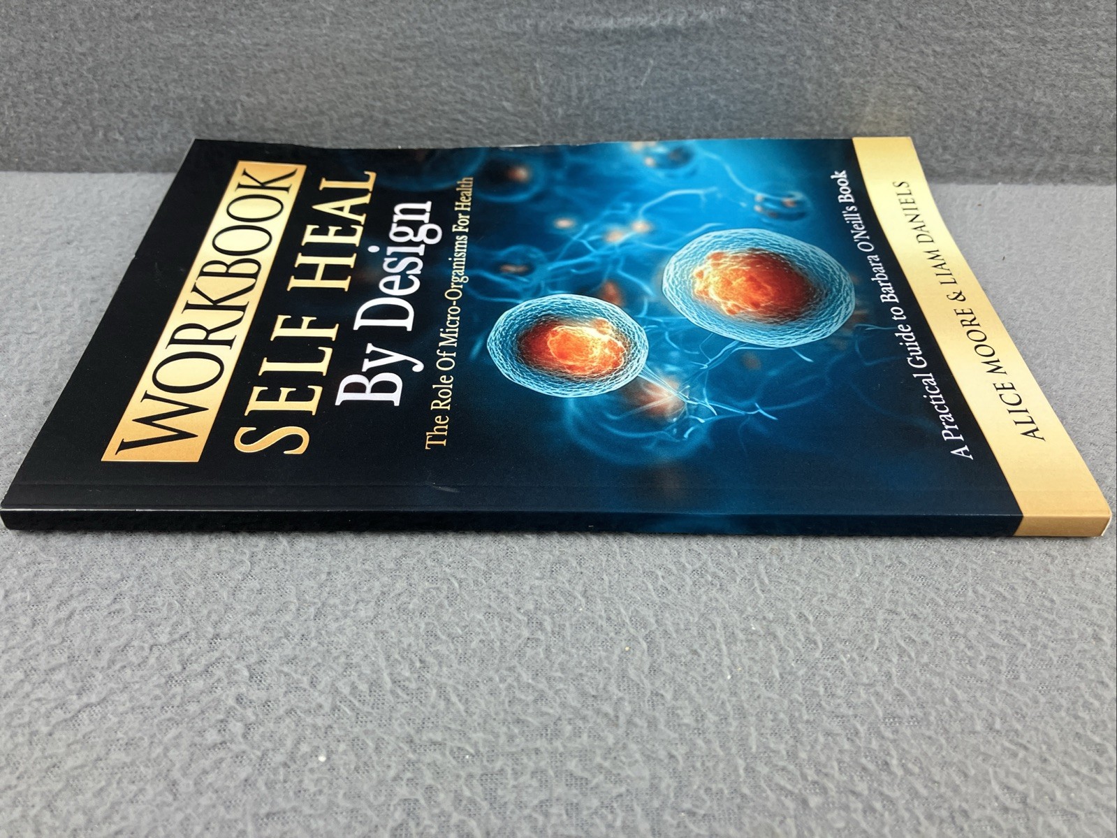 Workbook: Self-Heal by Design (Barbara ONeill) (Womens Health Paperback