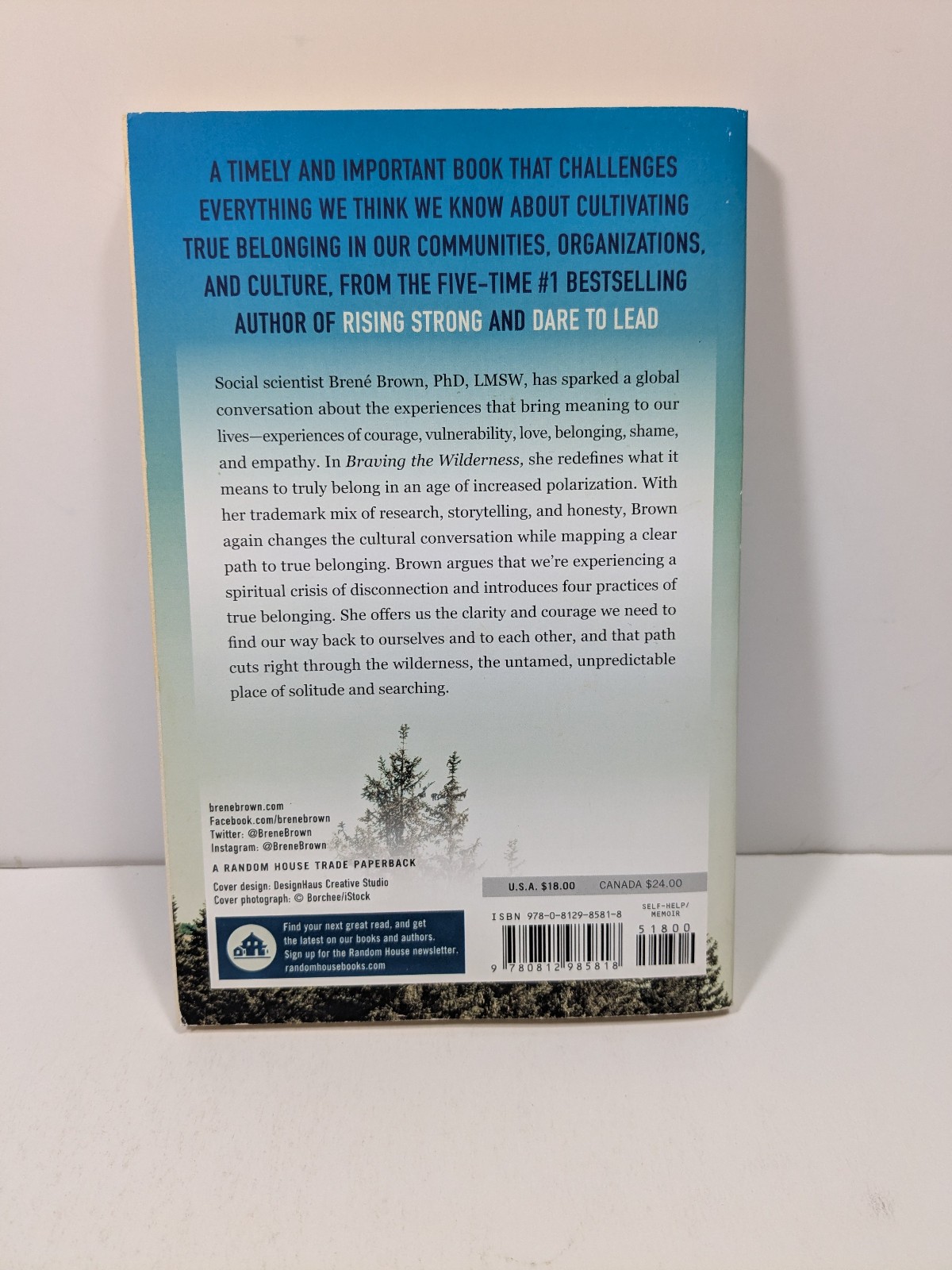 Braving the Wilderness by Brene Brown Paperback Book Psychology Self Help Memoir