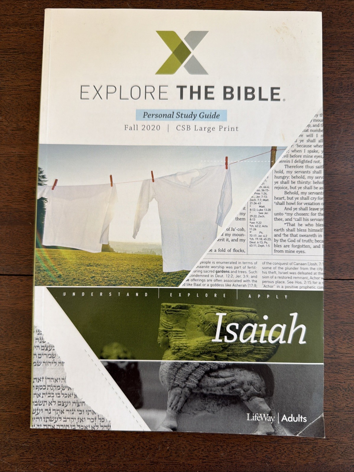 Lot of 16 Bible Study Guides – Explore the Bible Personal Study Guides – Lifeway