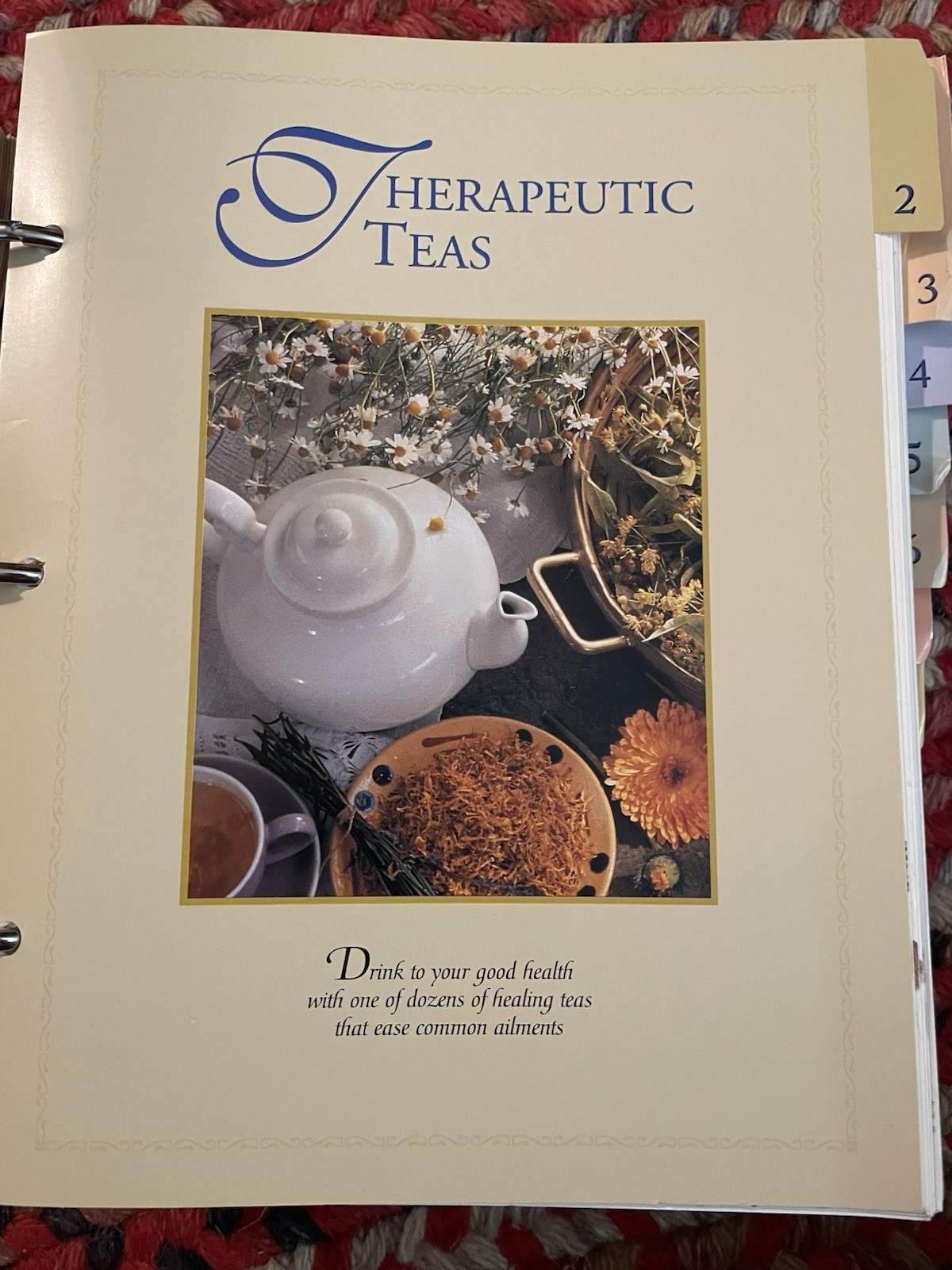 The Complete Guide to Natural Healing 1 Binder Sections 1-13 300+ Cards – USED