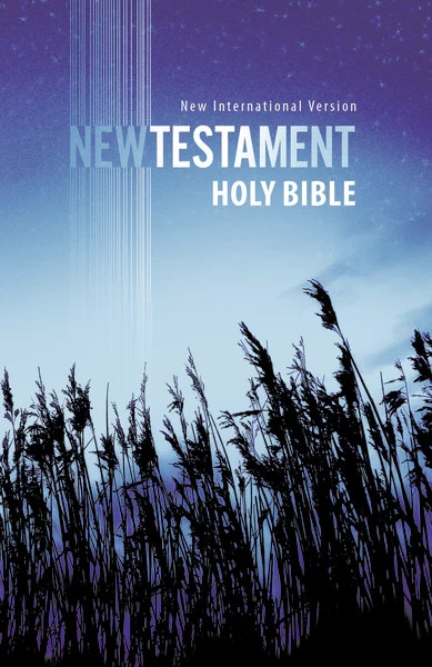NIV New Testament Outreach Bible Paperback Bulk Multi-Packs Choose Cover