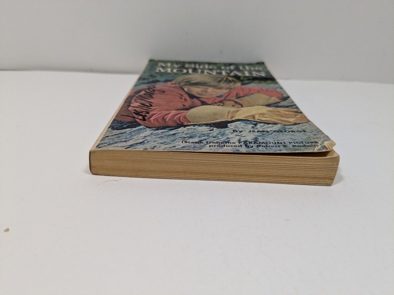 My Side of the Mountain by Jean George Vintage Paperback Book Scholastic Book