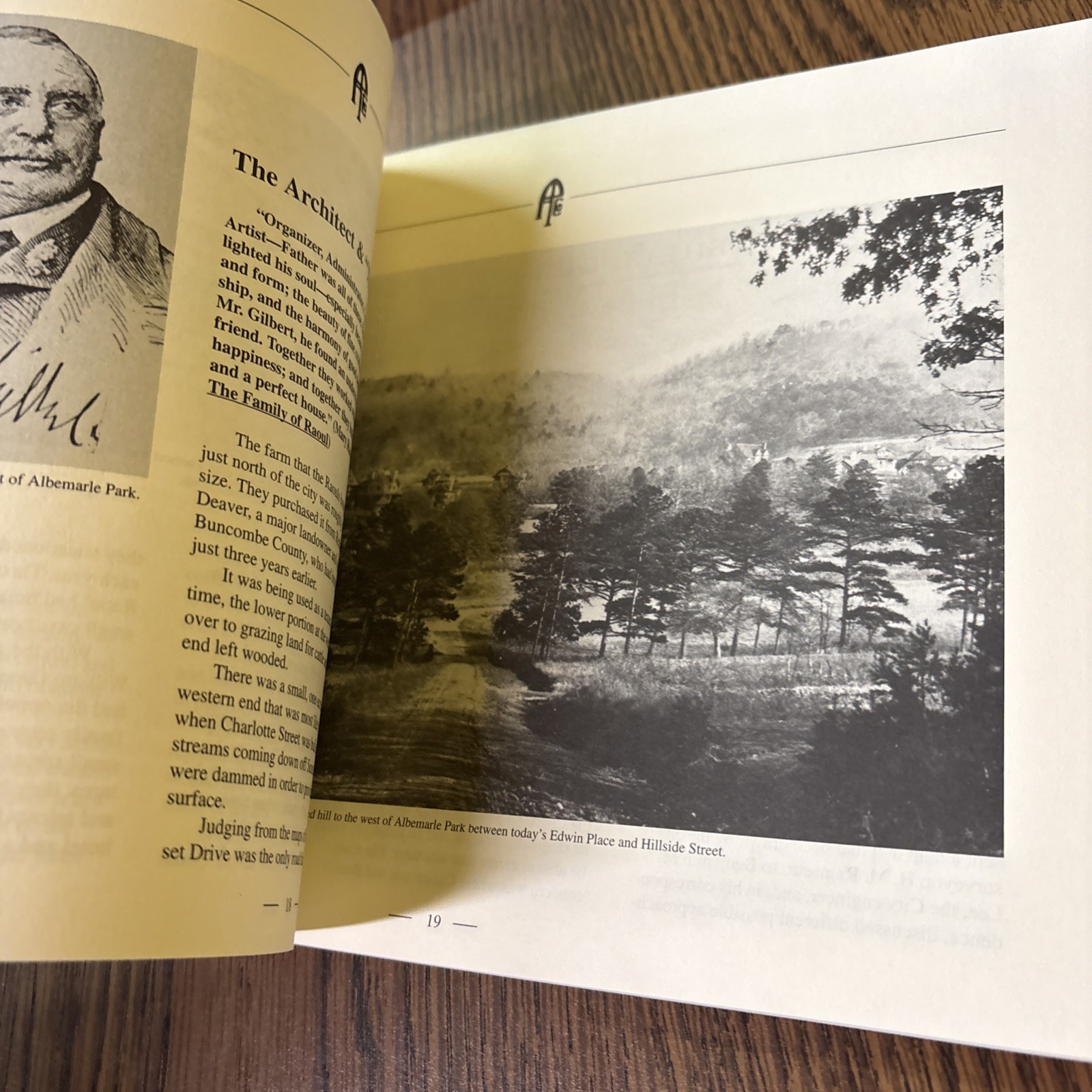THE MANOR AND COTTAGES, ALBEMARLE PARK, ASHEVILLE, NORTH By Jane Gianvito