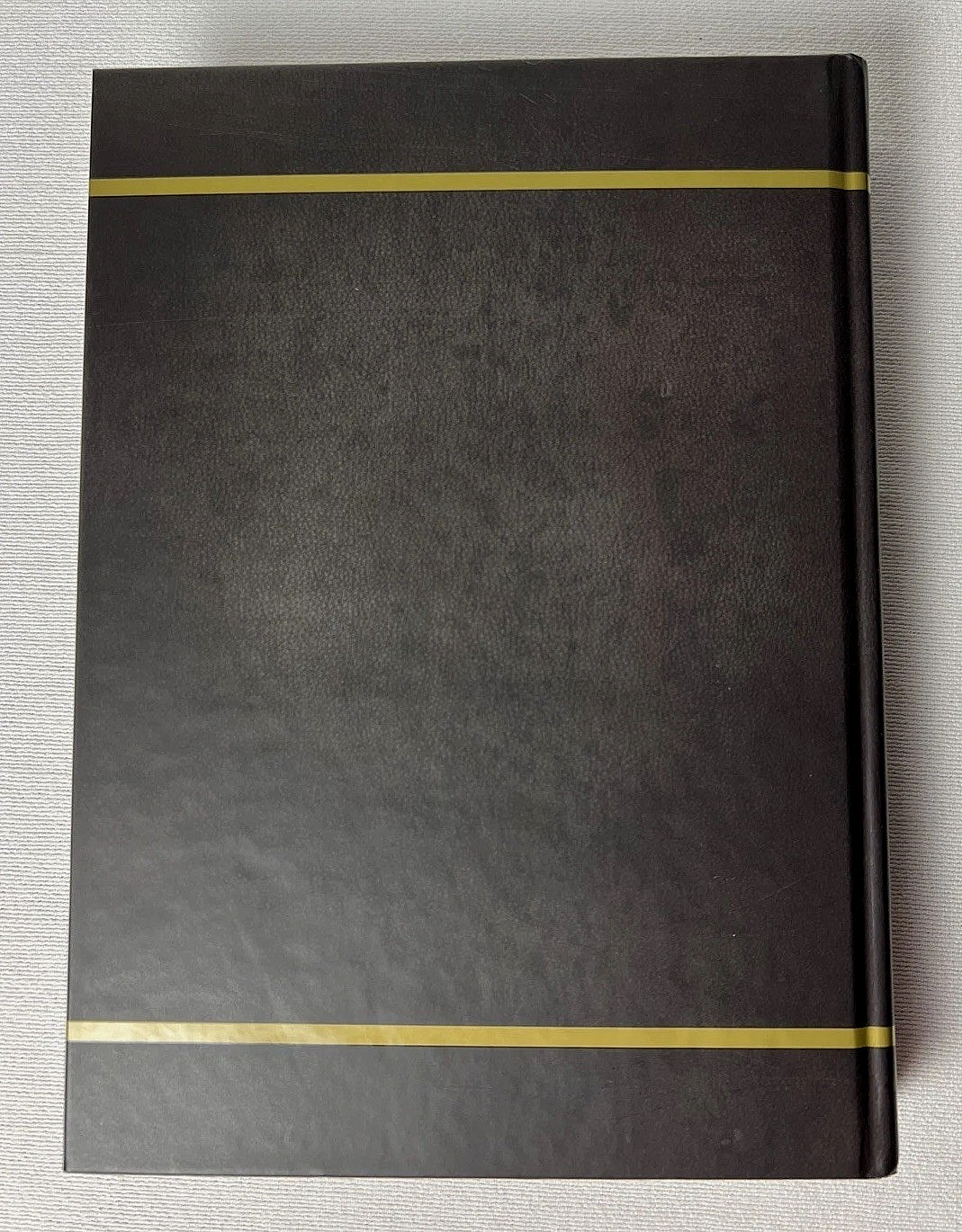 Fallout 76: Official Collector’s Edition Guide by Garitt Rocha &… WV Poster Map