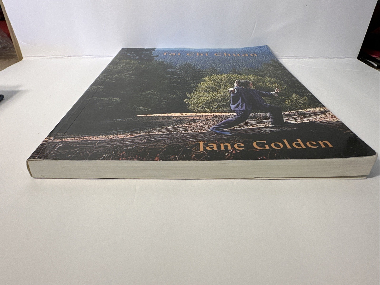 Tai Chi Chuan : Yang Style Long Form by Jane Golden (Paperback, 2006)