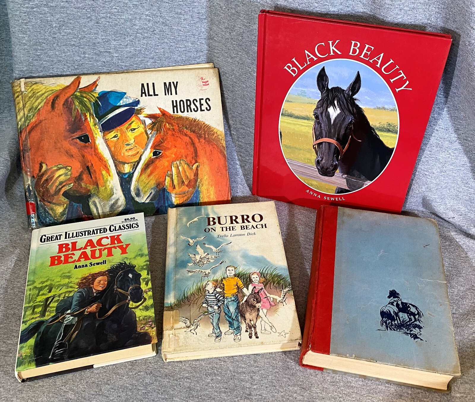 Horse Equestrian Books 29 in Lot 5HC & 24PB Chapter Picture Riding Veterinarian