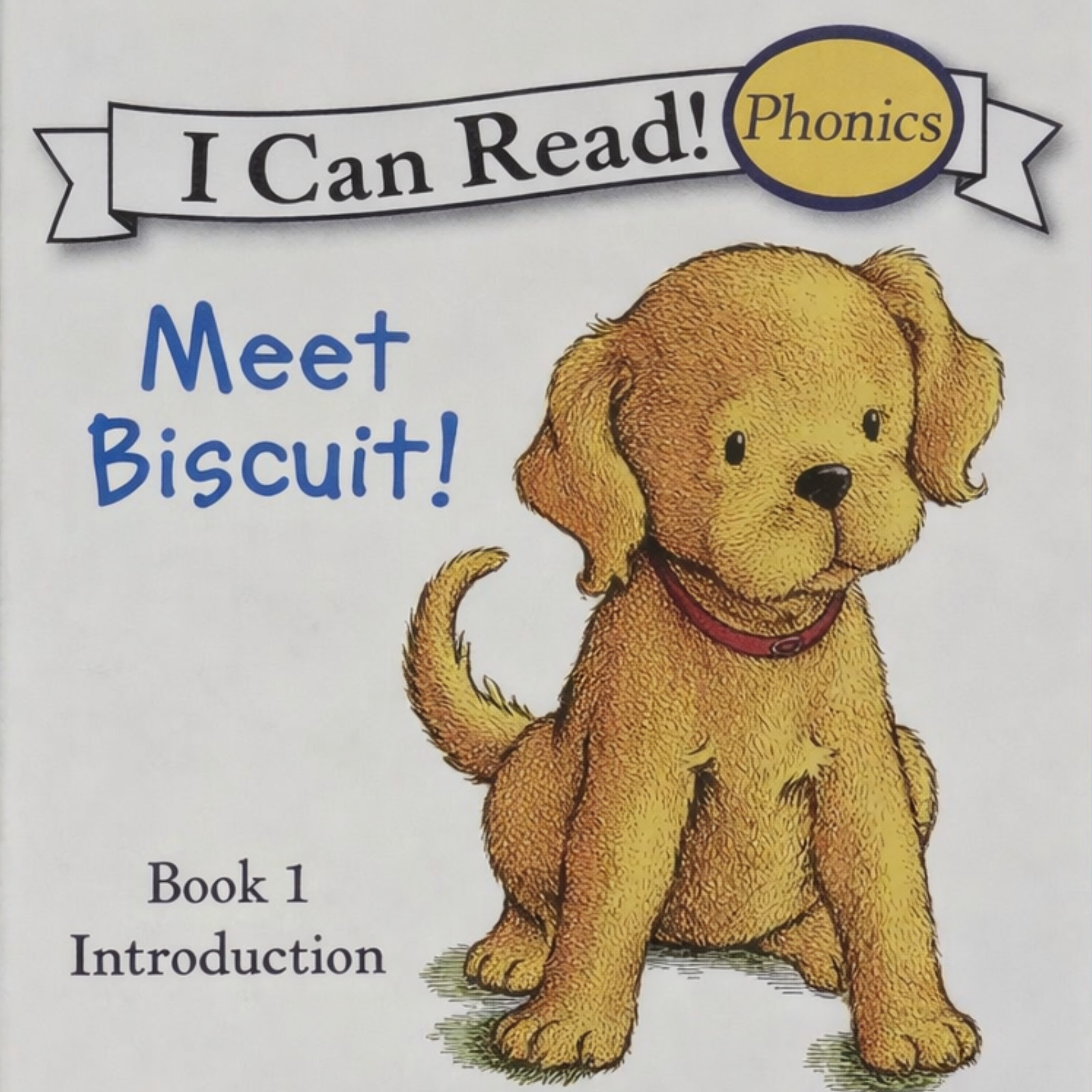 Biscuit I Can Read Phonics 24 Book Lot Kids Early Readers Learn to Read