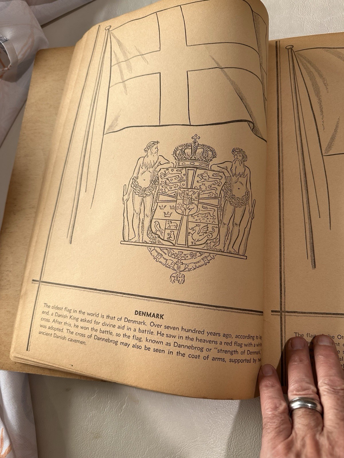 Vintage National Flags Coloring Book 48 Pages