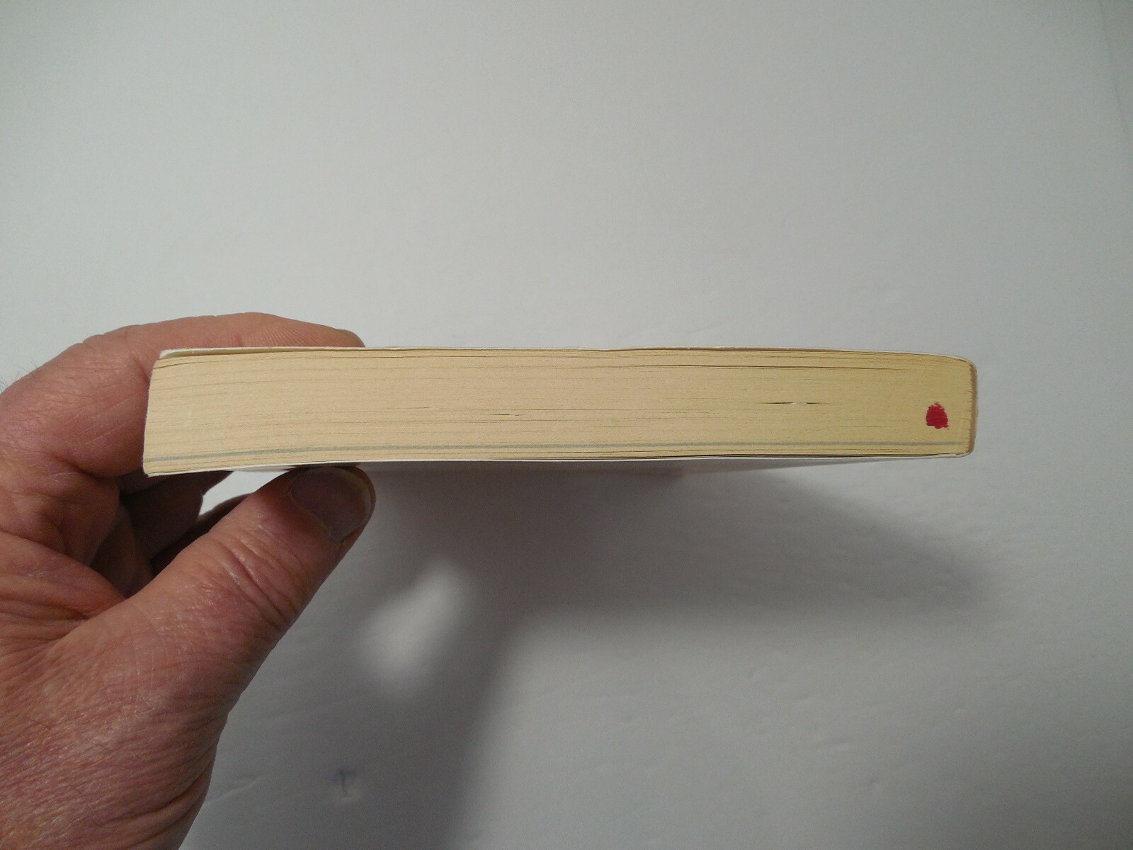 Big Cherry Holler by Adriana Trigiani, 2002, 1st Ed, 3rd Pr, Signed, PB, VG