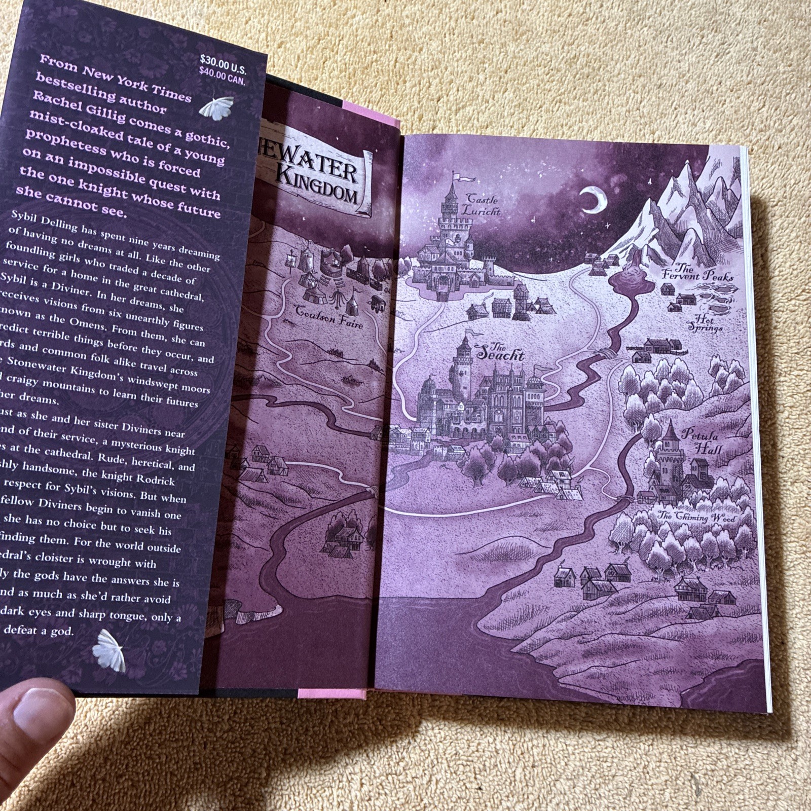 The Knight and the Moth by Rachel Gillig TARGET EXCLUSIVE EDITION