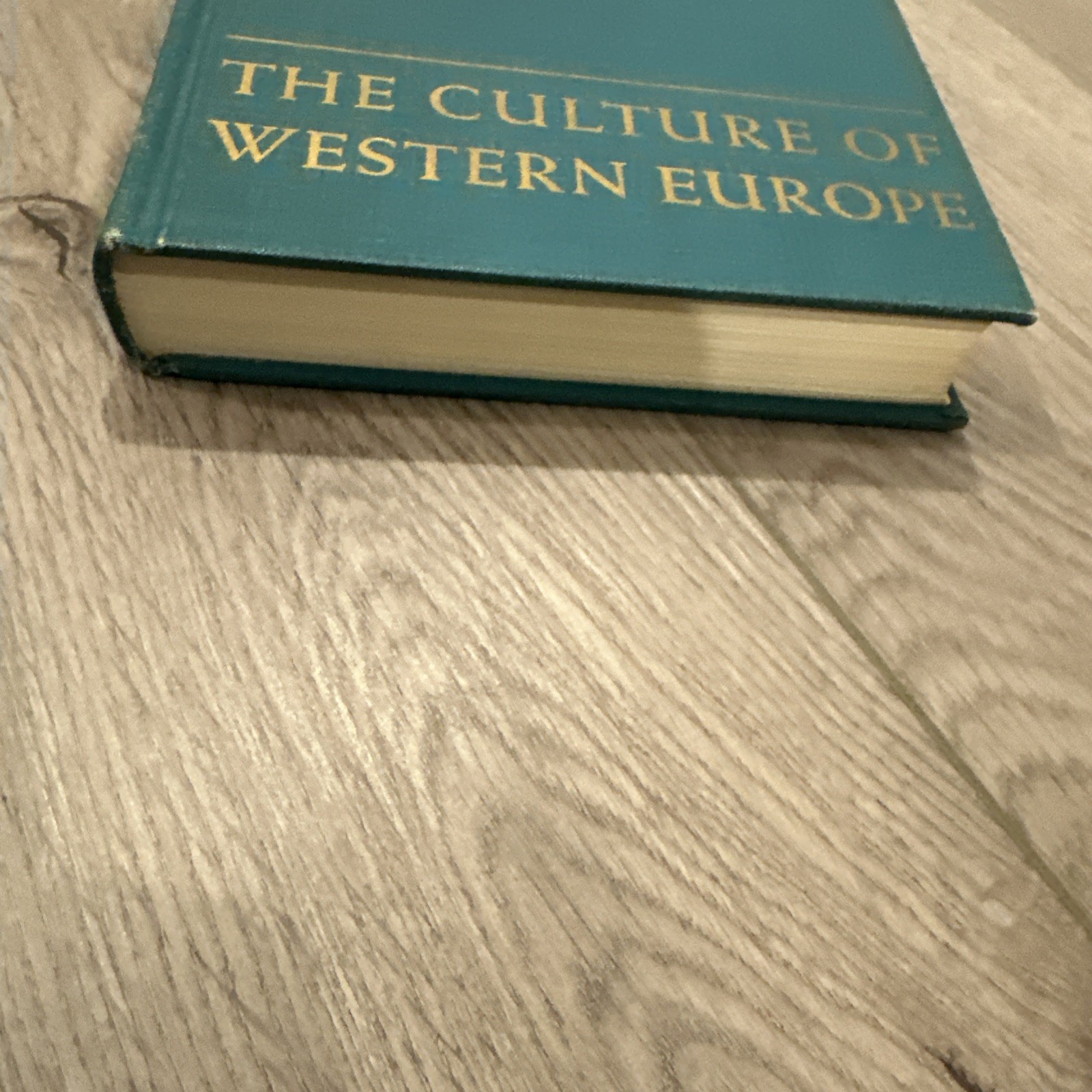 Rand McNallyThe Culture of Western Europe HC GOOD