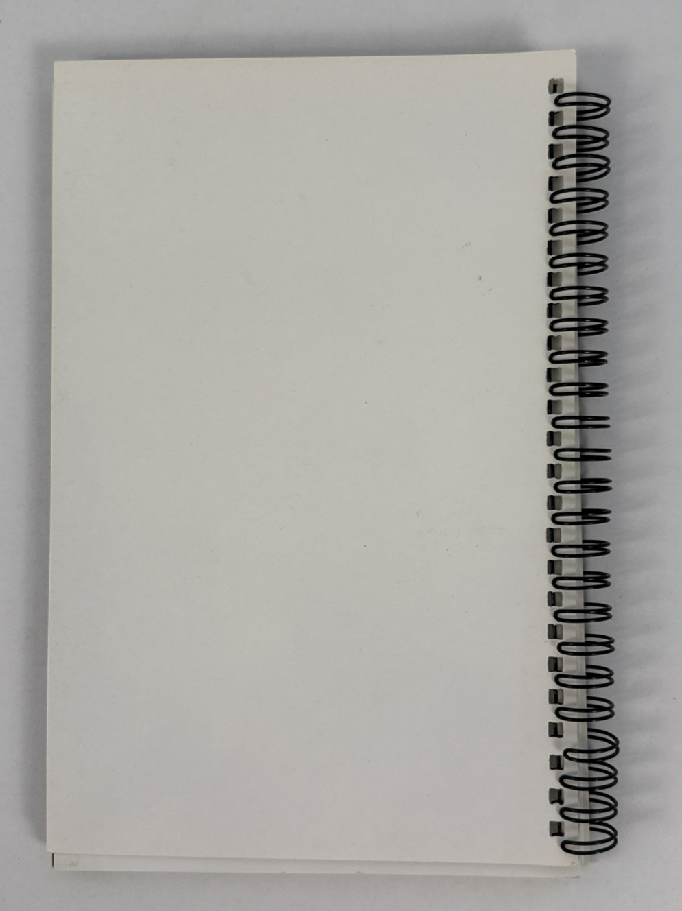 2011 Traeger’s Everyday Cookbook-Wood Pellet Grill-101 pages-Spiral Bound