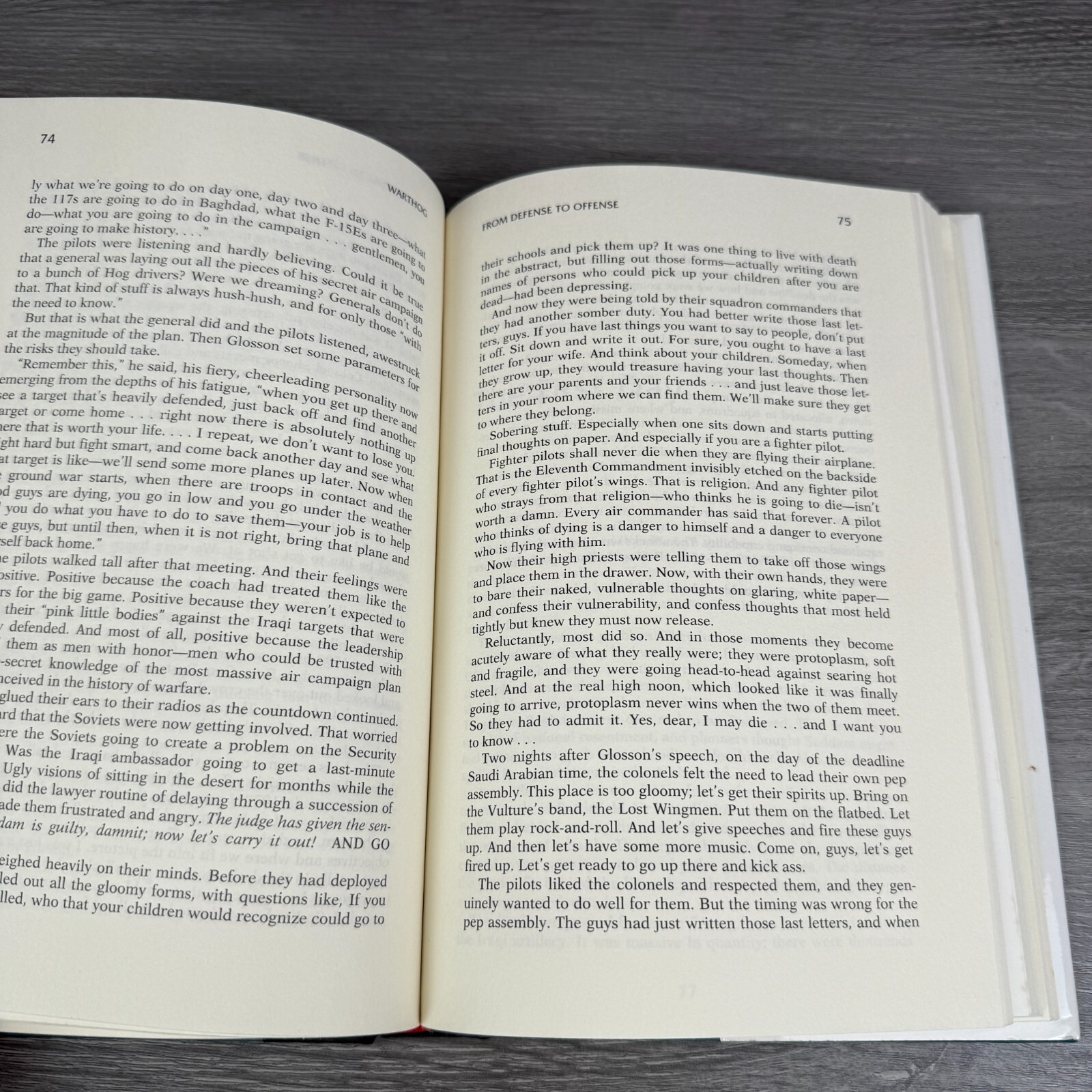 Warthog Flying the A-10 in the Gulf War Vtg HC 1993 Book by William L Smallwood