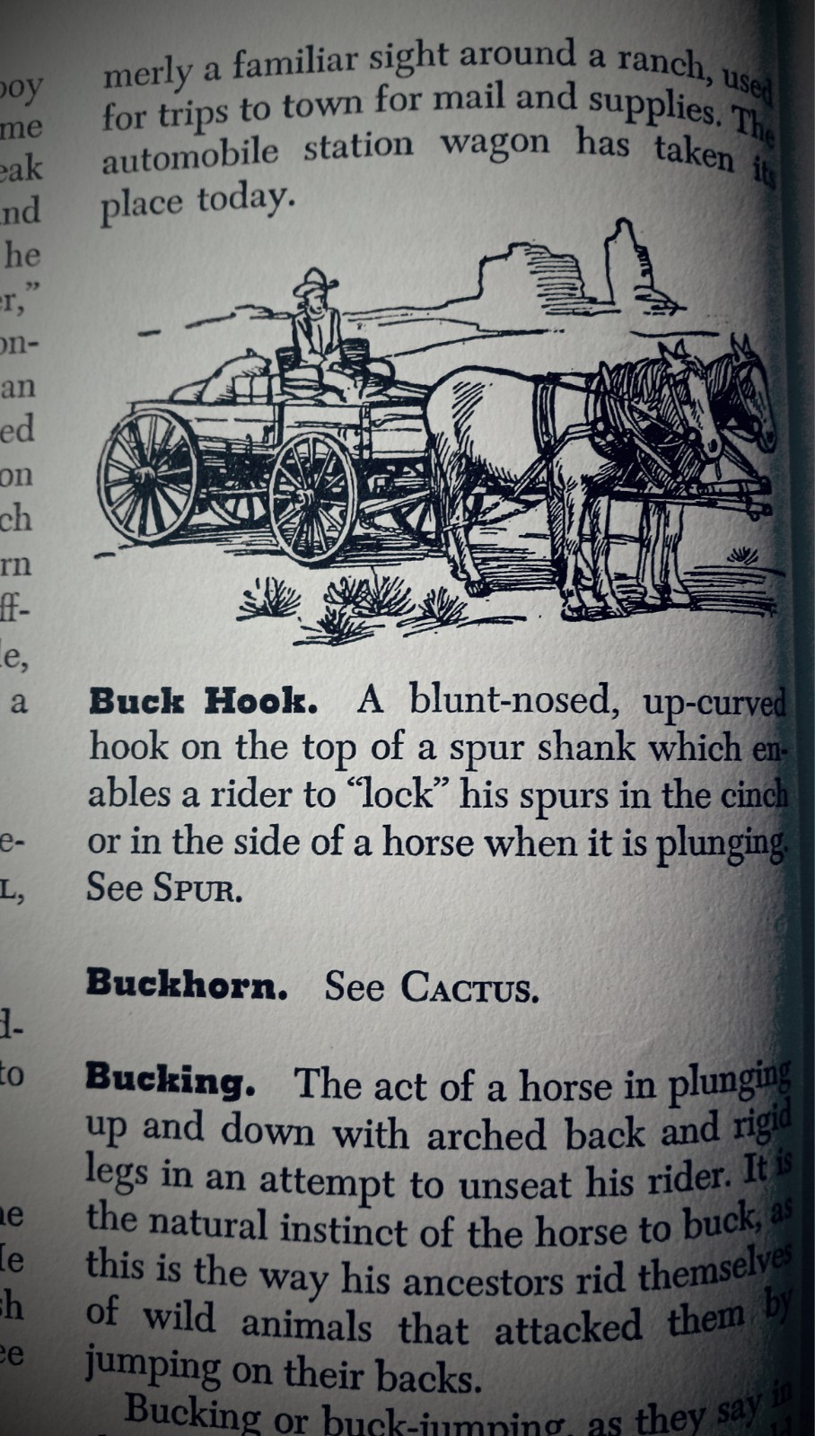 The Cowboy Encyclopedia 1951 First Edition 175 Illustrations 160 Pages HC
