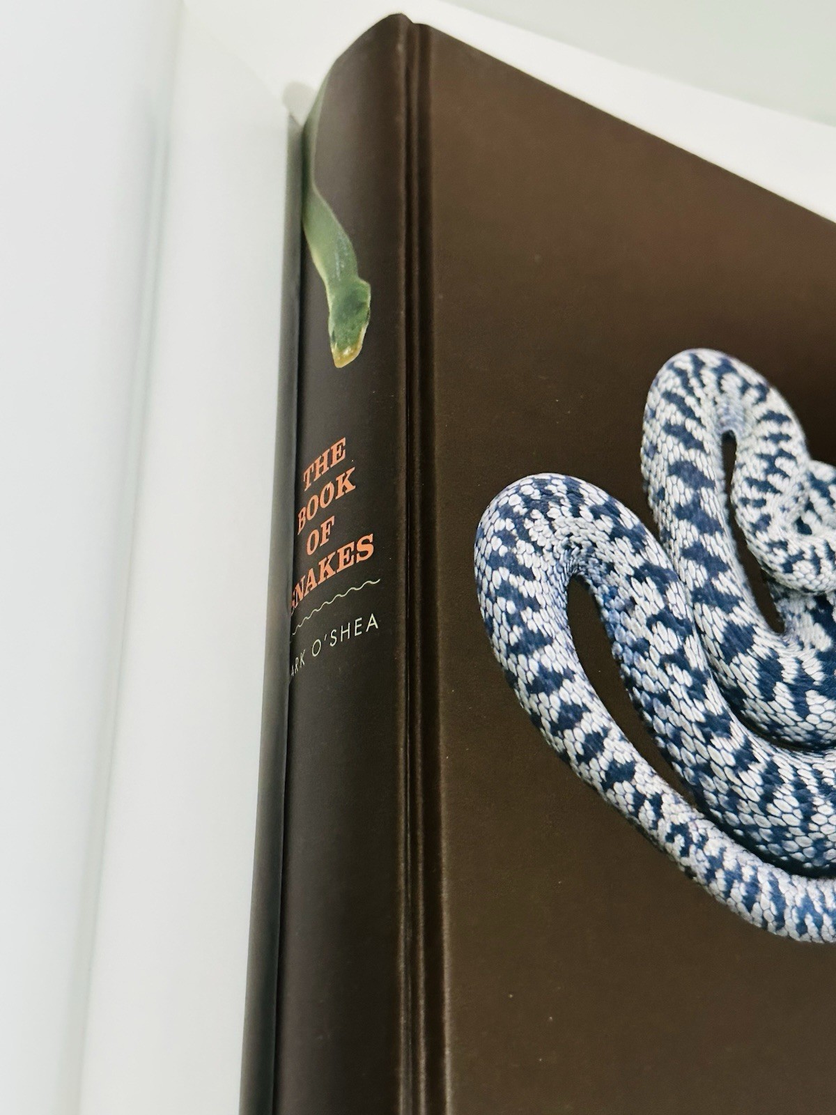 Book of Snakes: A Life-Size Guide to Six Hundred Species From Around the World