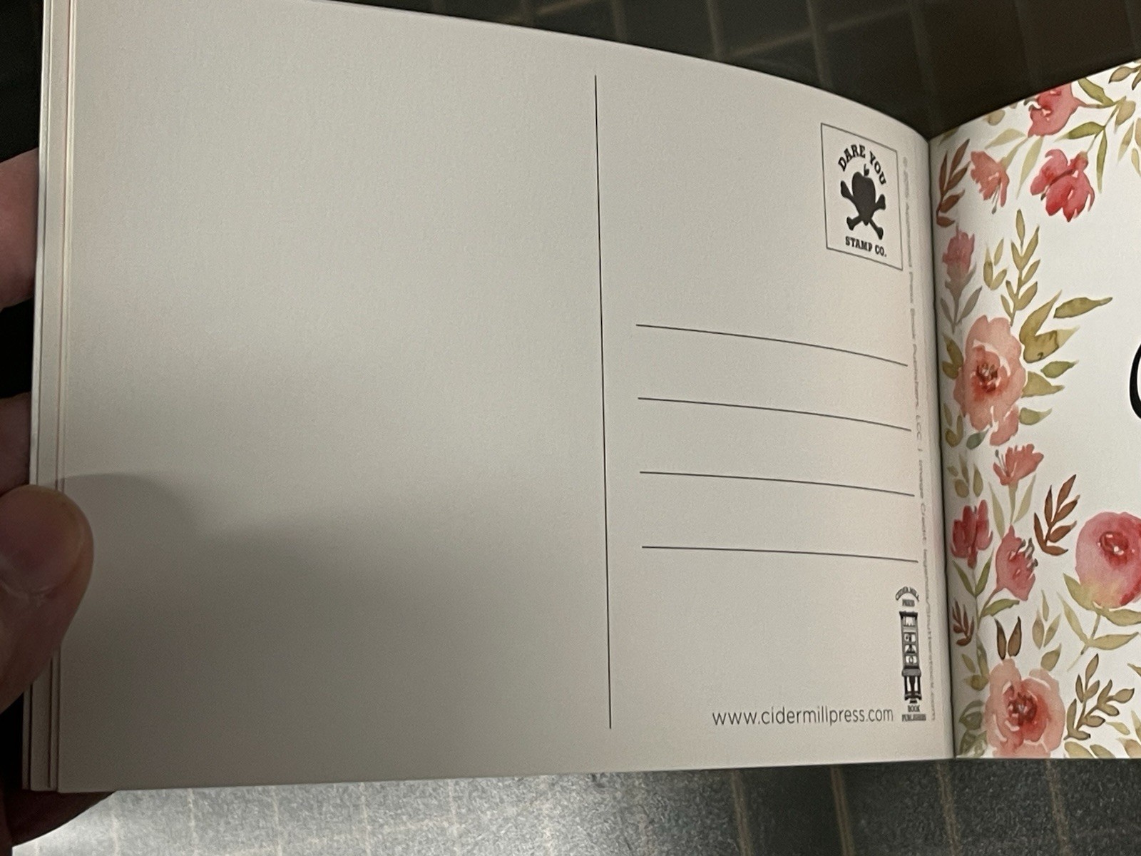 Book Of 30 “You Suck”, Adult PRANK Mail Postcards, FUNNY Joke Snarky Revenge