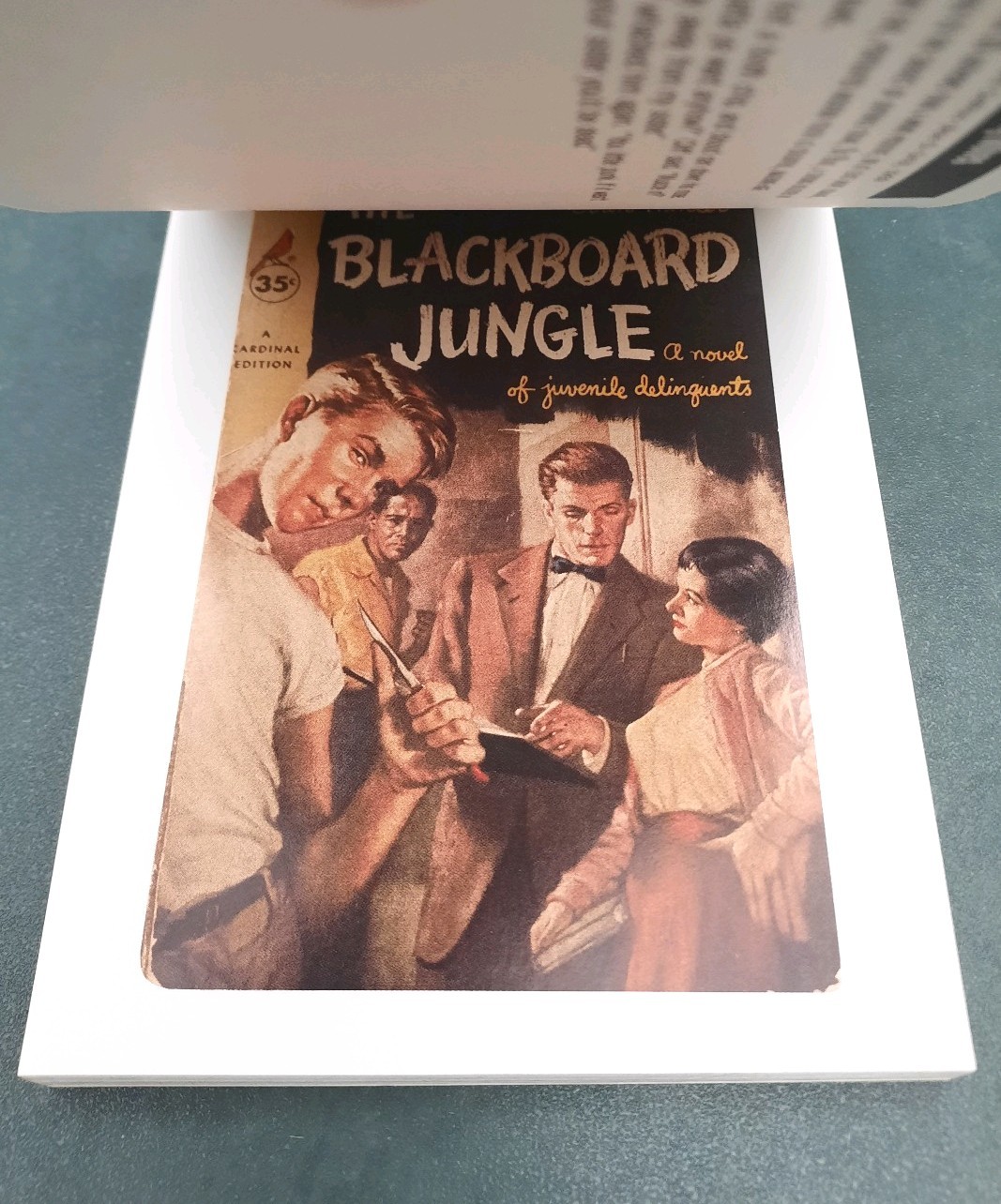 BAD SEED Postcard Book 30 Cards ~ 1950s Teen Delinquent Pulp Fiction Art