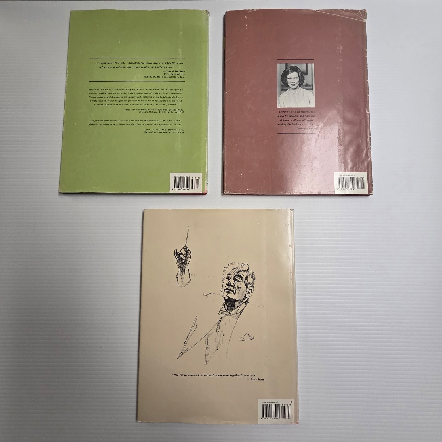 Biography Books Set Lucretia Mott W.E.B. Du Bois Leonard Bernstein Illustrated