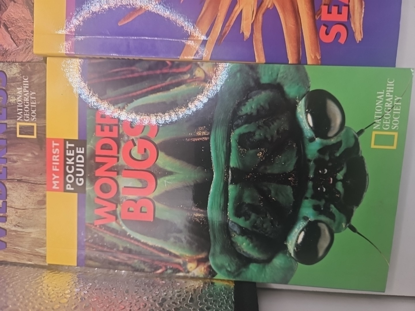 National Geographic My First Pocket Guides: Big Collection 11 Books science