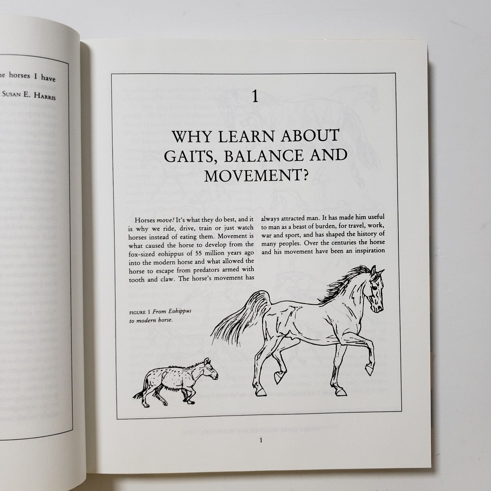 Horse Gaits, Balance and Movement by Susan E. Harris 1993 HC DJ
