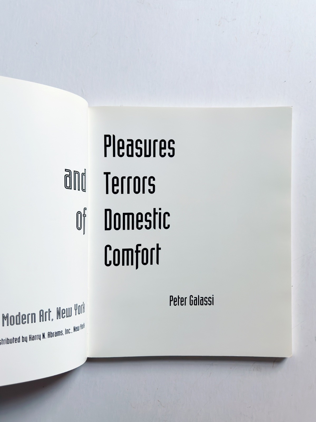Pleasures and Terrors of Domestic Comfort, Peter Galassi (1991) 1st Edition Rare