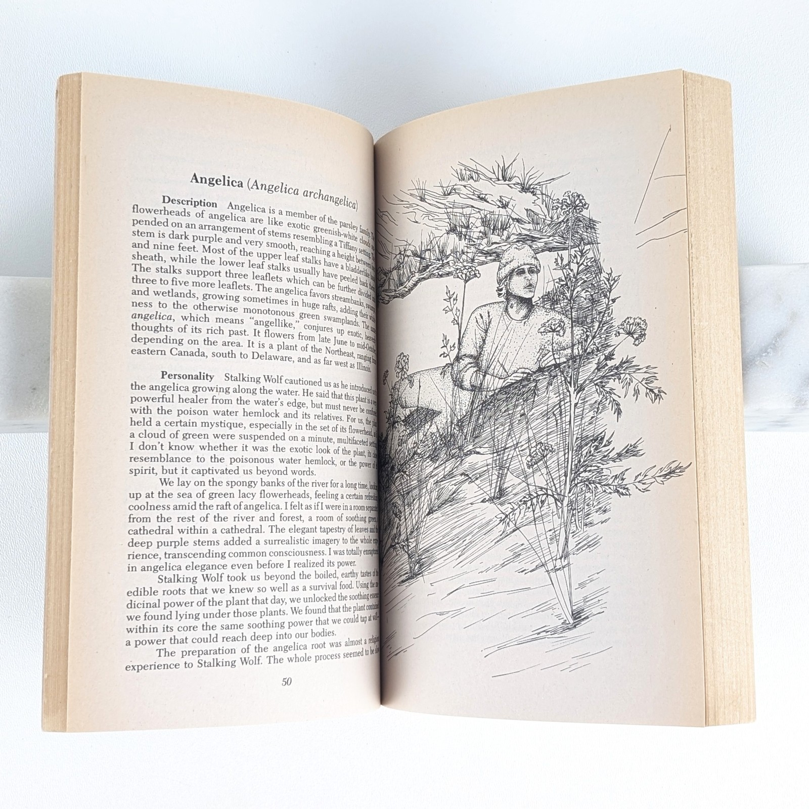 TOM BROWN’S GUIDE TO WILD EDIBLE AND MEDICINAL PLANTS by Tom Brown Jr. – 1985 PB