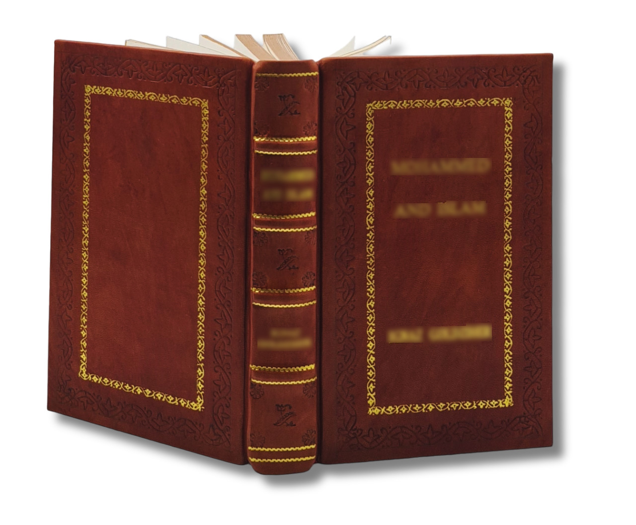 A Nefarious Plot by Deace, Steve [PREMIUM LEATHER BOUND]