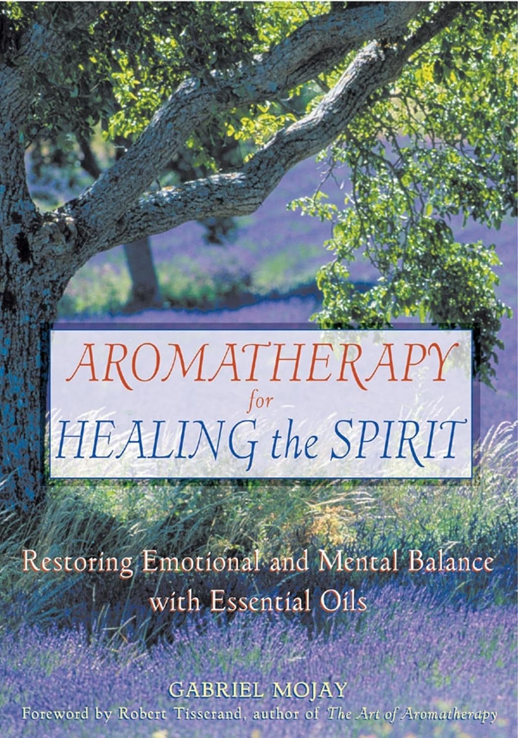 Aromatherapy for Healing the Spirit by Gabriel Mojay (Paperback)