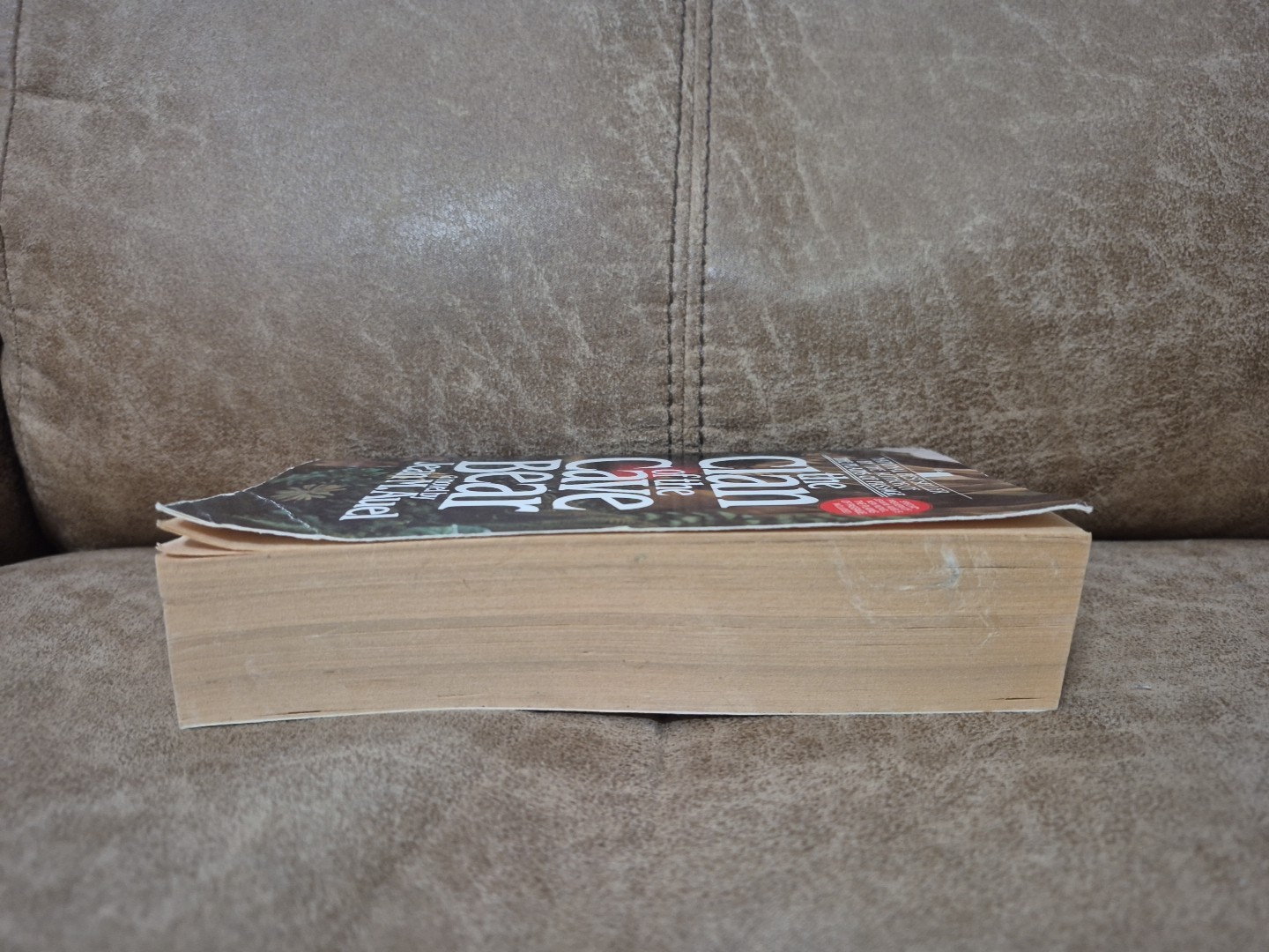 The Clan of the Cave Bear by Jean M. Auel ( 1986 PB) Historical Fiction