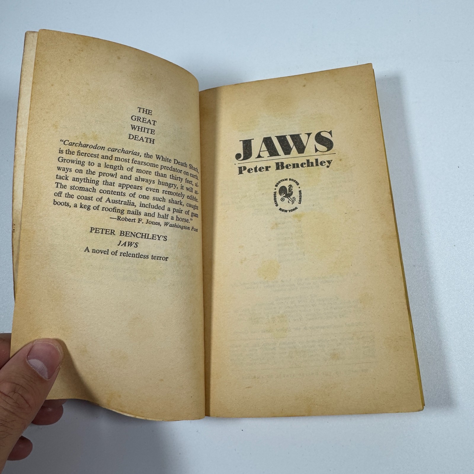 Jaws 1974 by Peter Benchley, Bantam Edition Paperback 43rd Printing