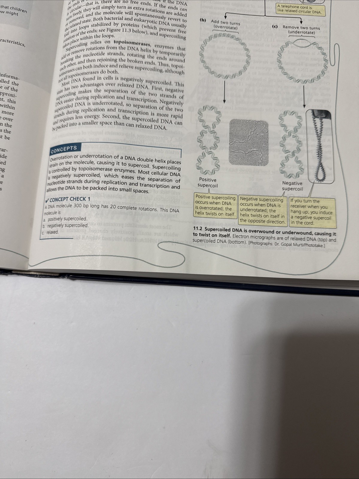 Genetics: A Conceptual Approach by Pierce, Benjamin Hardback Book The Fast Free