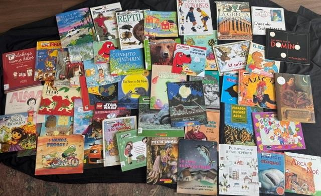 48 SPANISH CHILDREN PICTURE BOOK LOT teacher set kids K 1 2 3 Award fiction