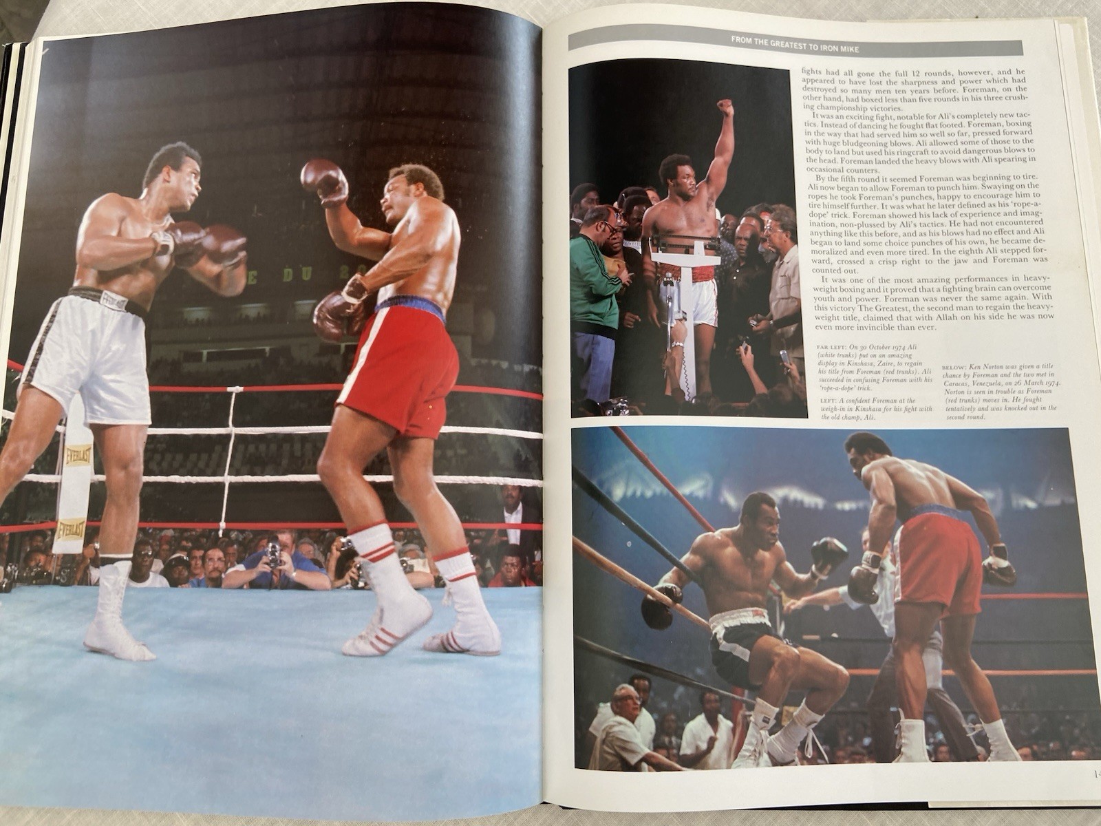 Vintage 1988, „Pictorial History of Boxing“ Peter Arnold XL Vg 1st Print FREE SH