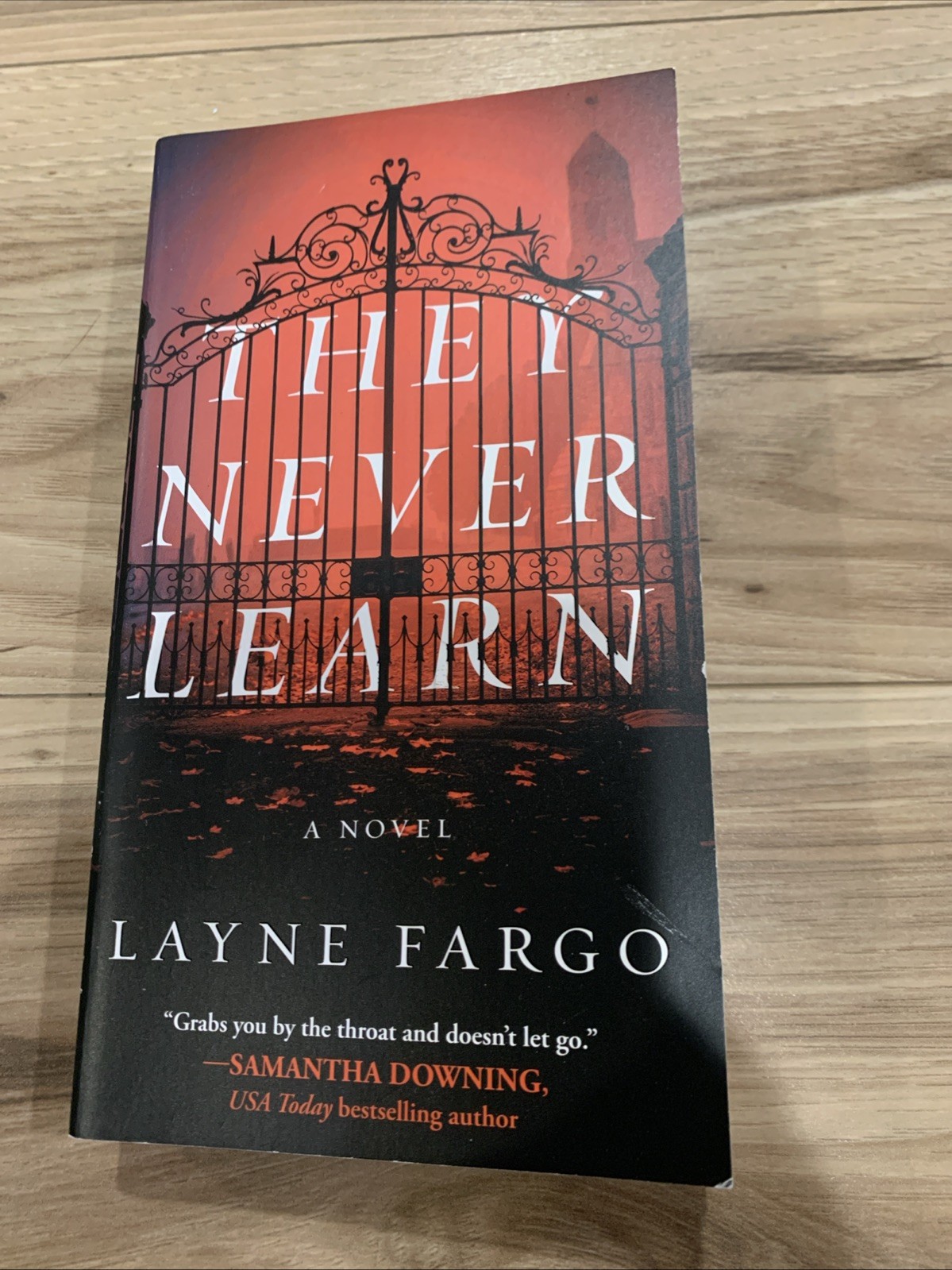 They Never Learn by Layne Fargo (2024, Us-Tall Rack Paperback)