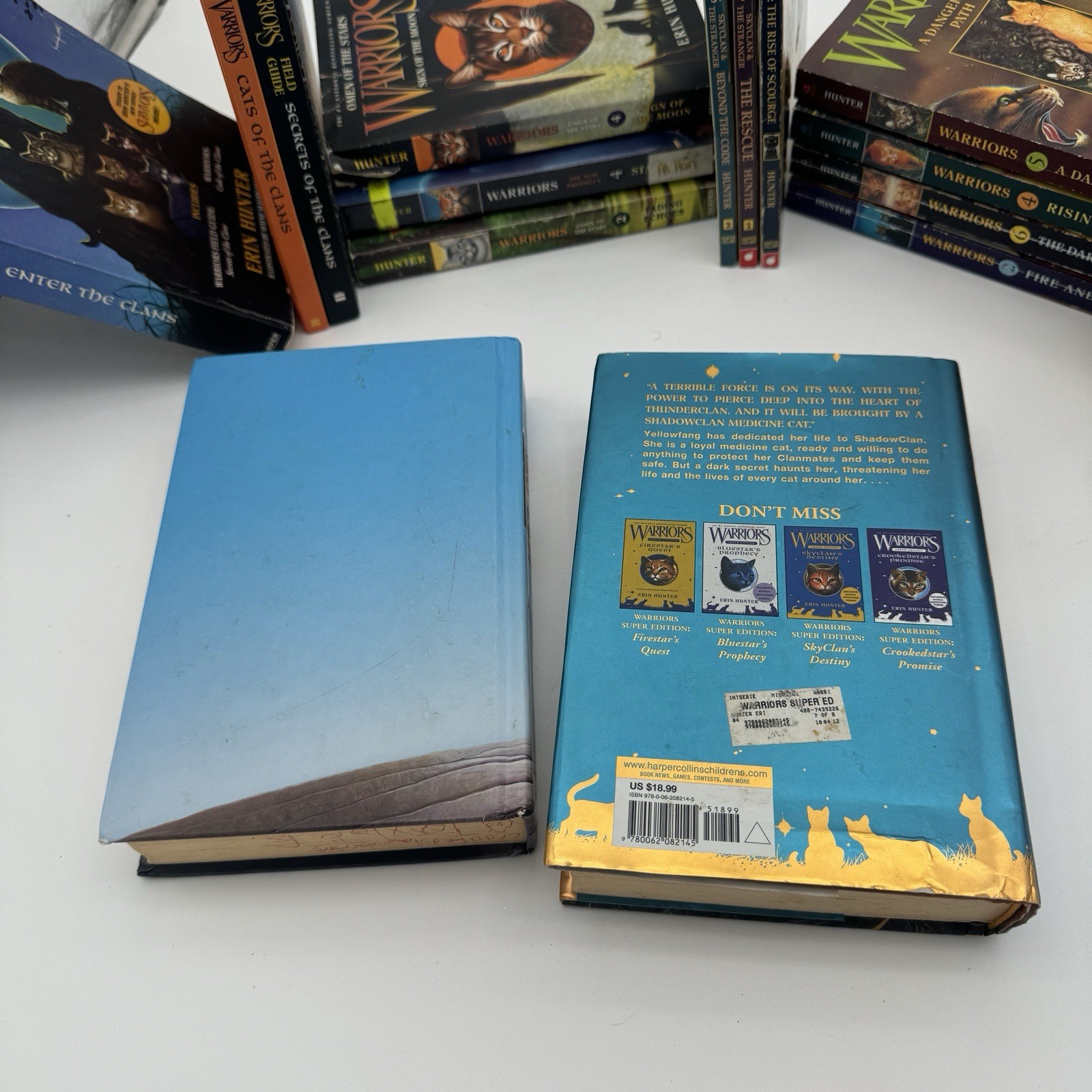 Warriors Erin Hunter Book Lot Of 17 Mixed Hardcover Paperback Super Editions