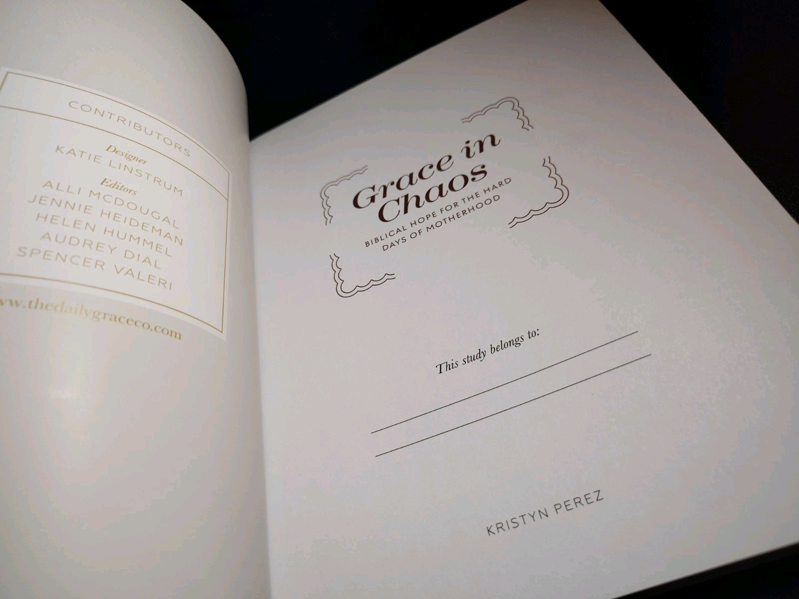 Grace in Chaos The Daily Grace Co. 2017 Biblical Hope Motherhood Study Guide EXC