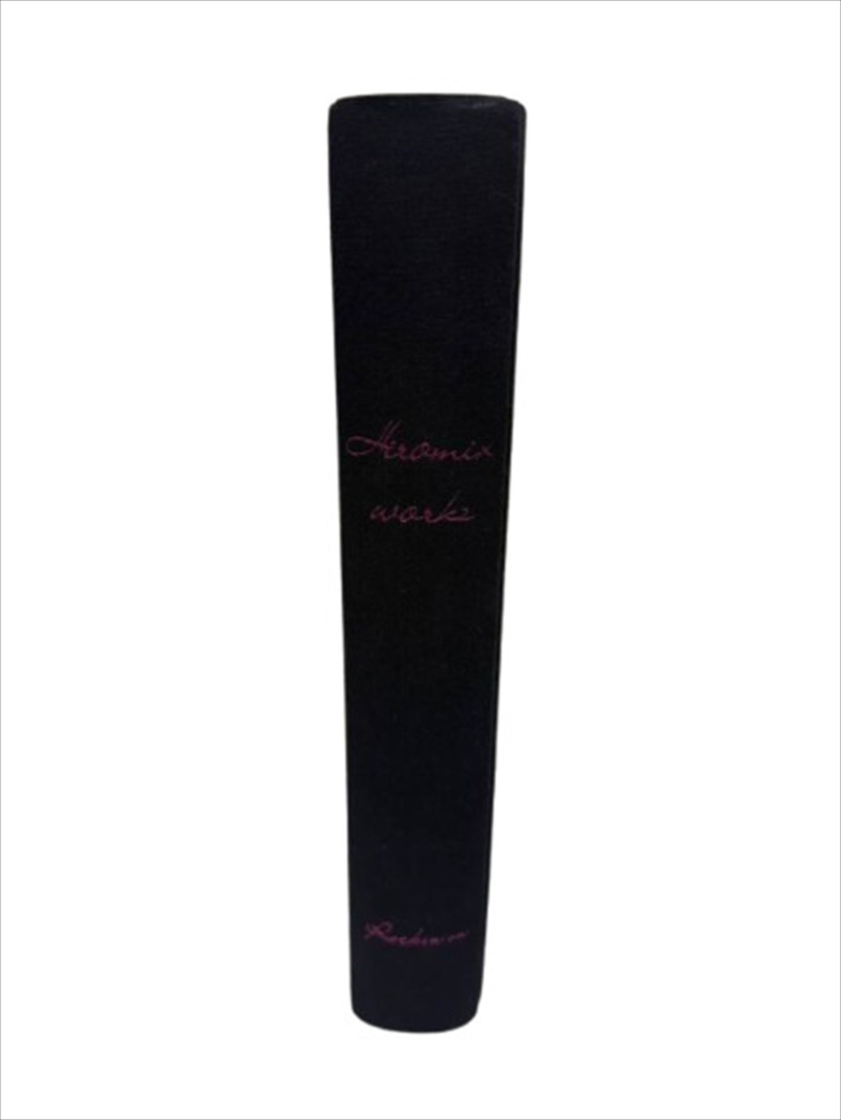 HIROMIX Photo Book HIROMIX WORKS Best Selection 5 Years 2000 Celebrity Model