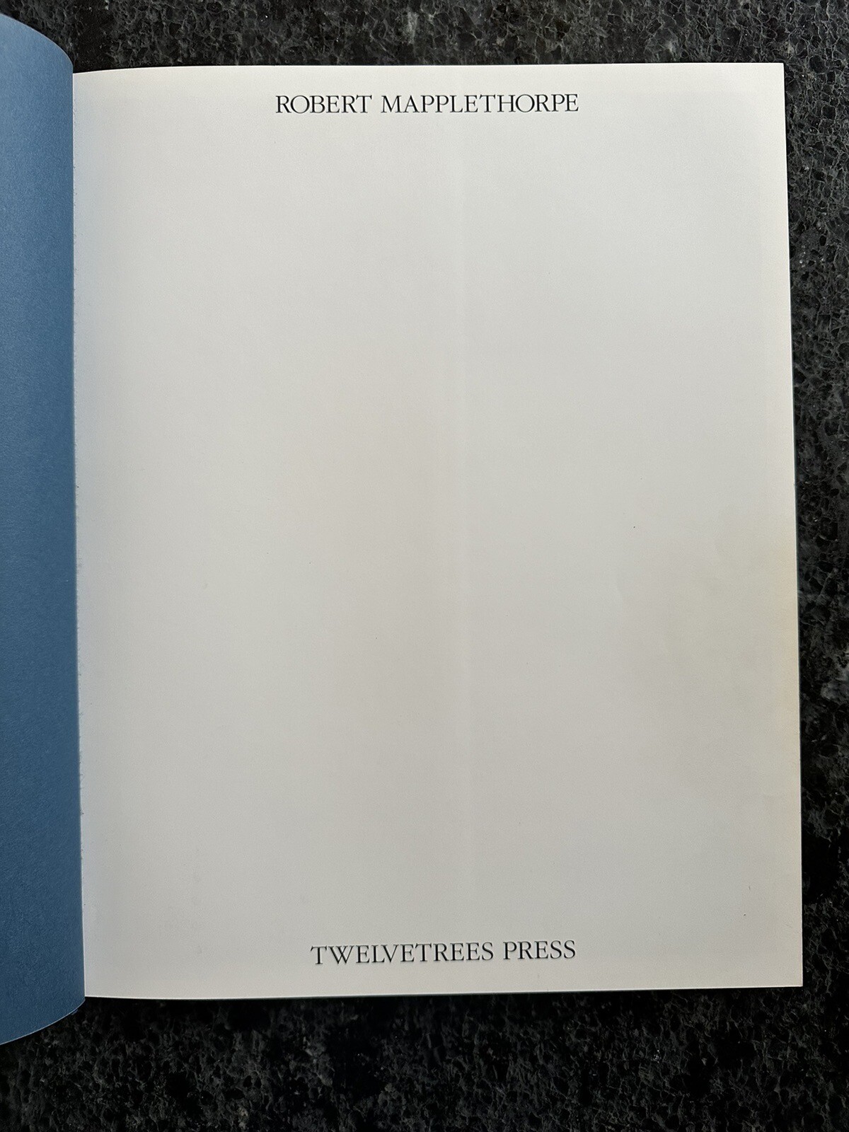 Robert Mapplethorpe Certain People by Susan Sontag 1985 Hardcover