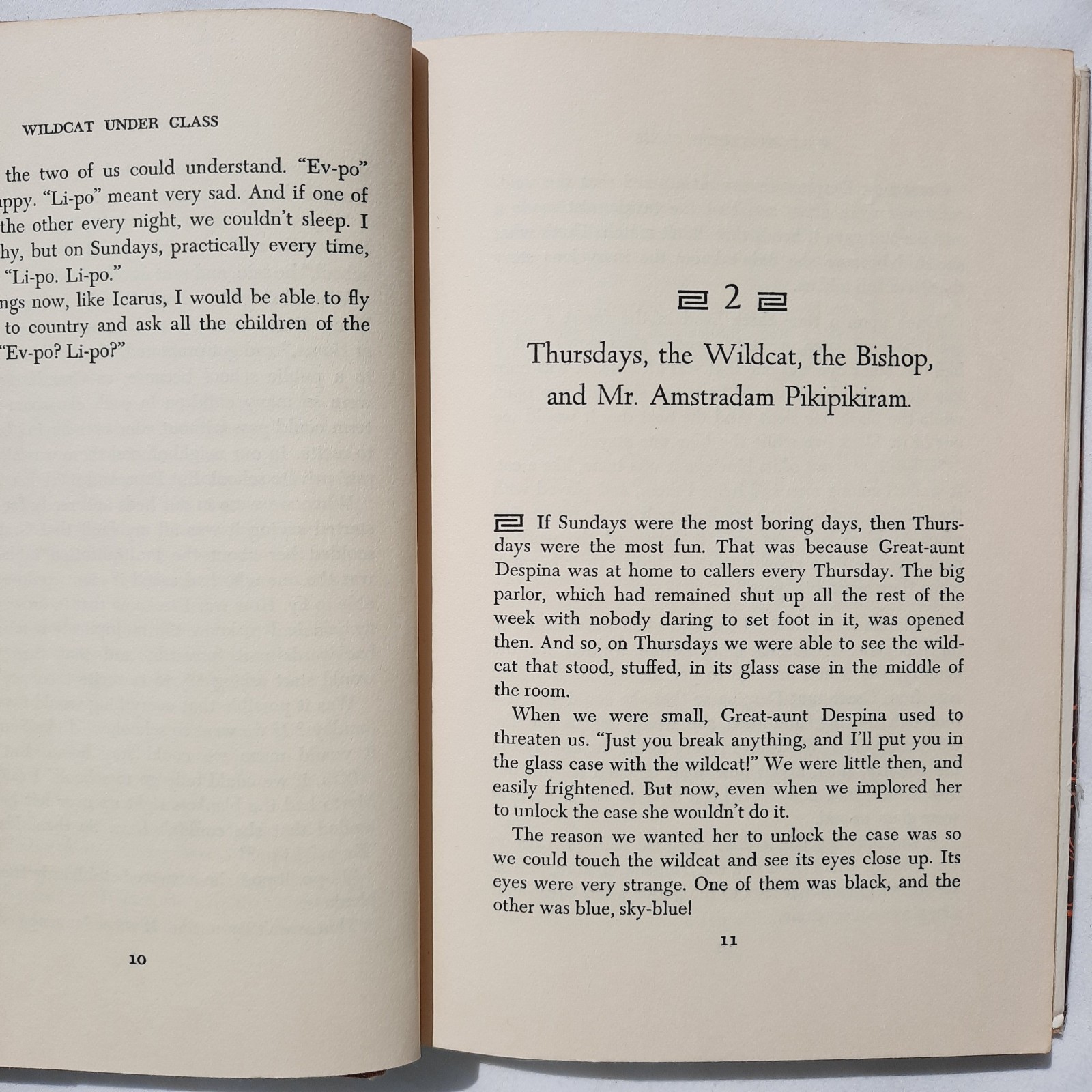 Wildcat Under Glass by Alki Zei GOOD 1969 HC 177 pages Holt, Rinehart & Winston